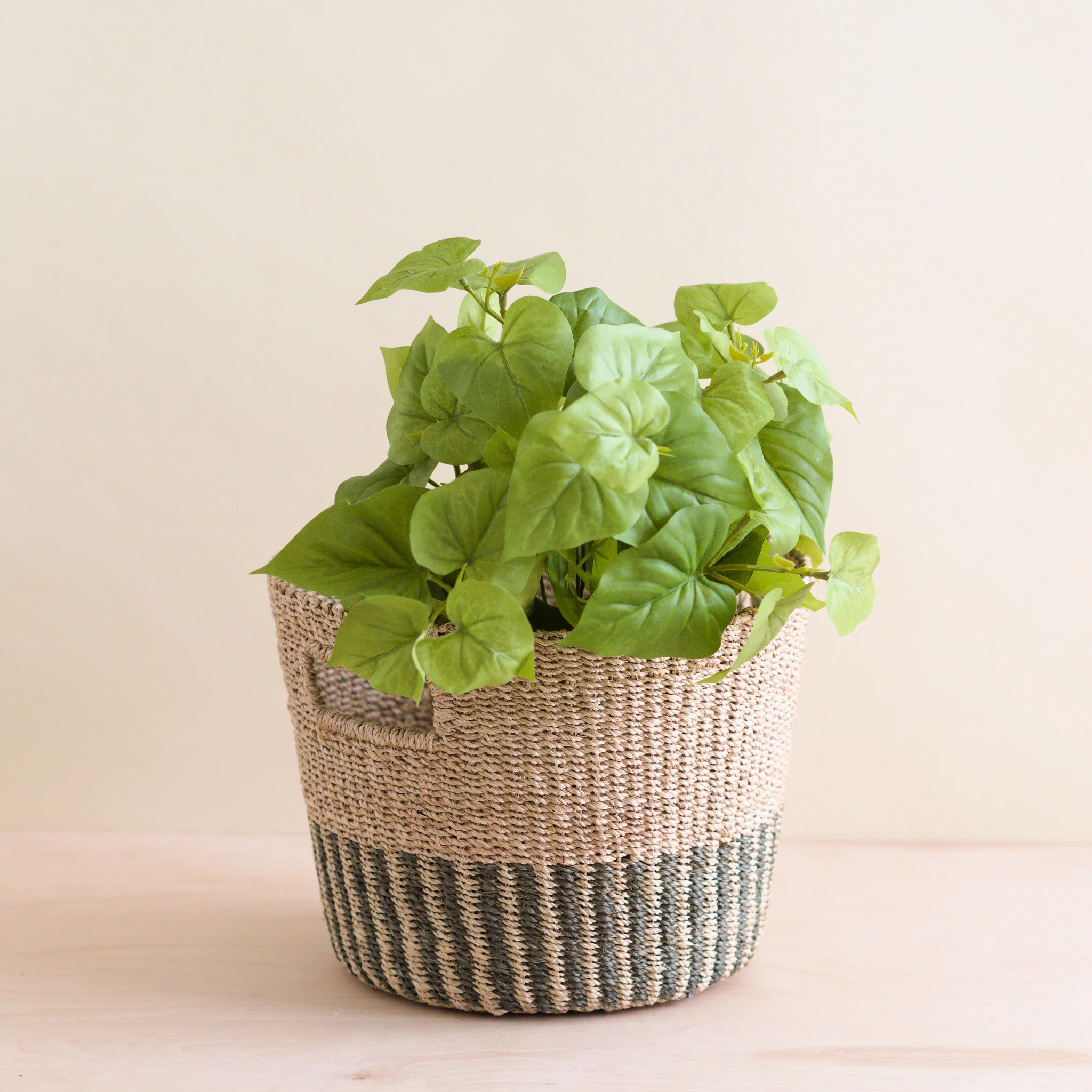 Abaca Tapered Basket - Image 6