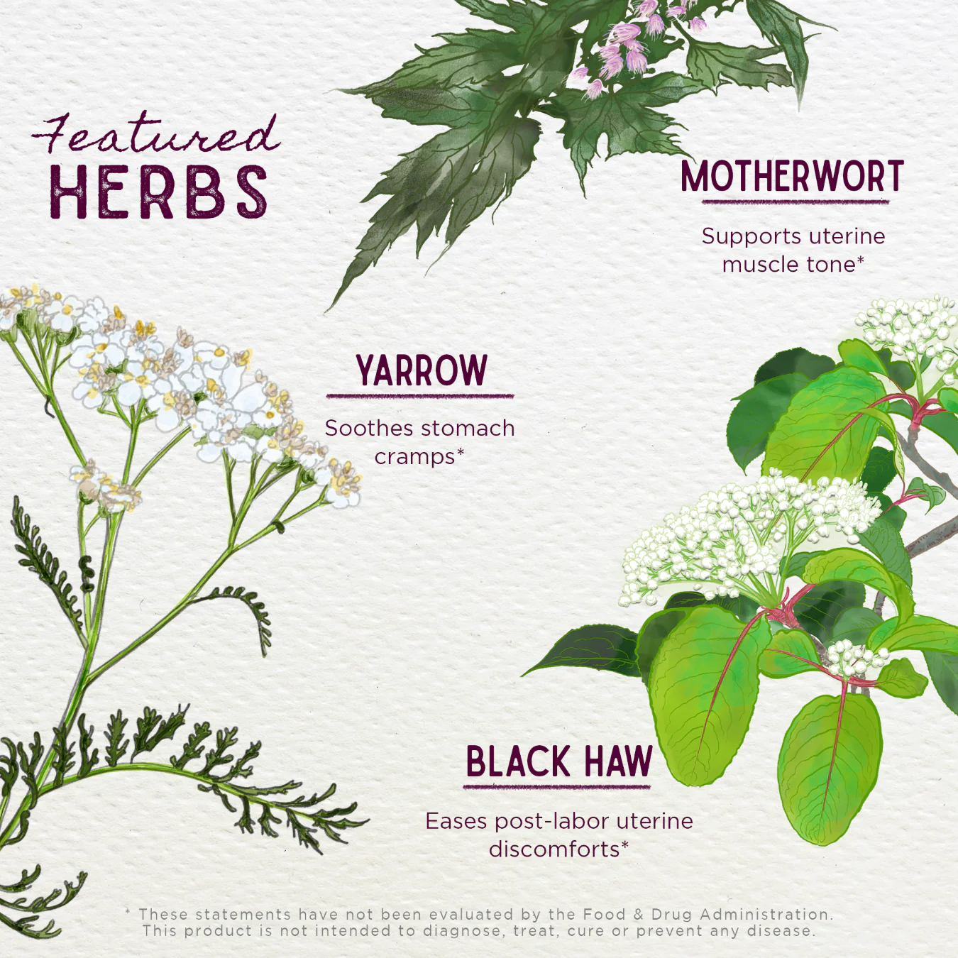 AfterEase Herbal Supplement - For Afterbirth Contractions - Herbal Supplement - Image 3