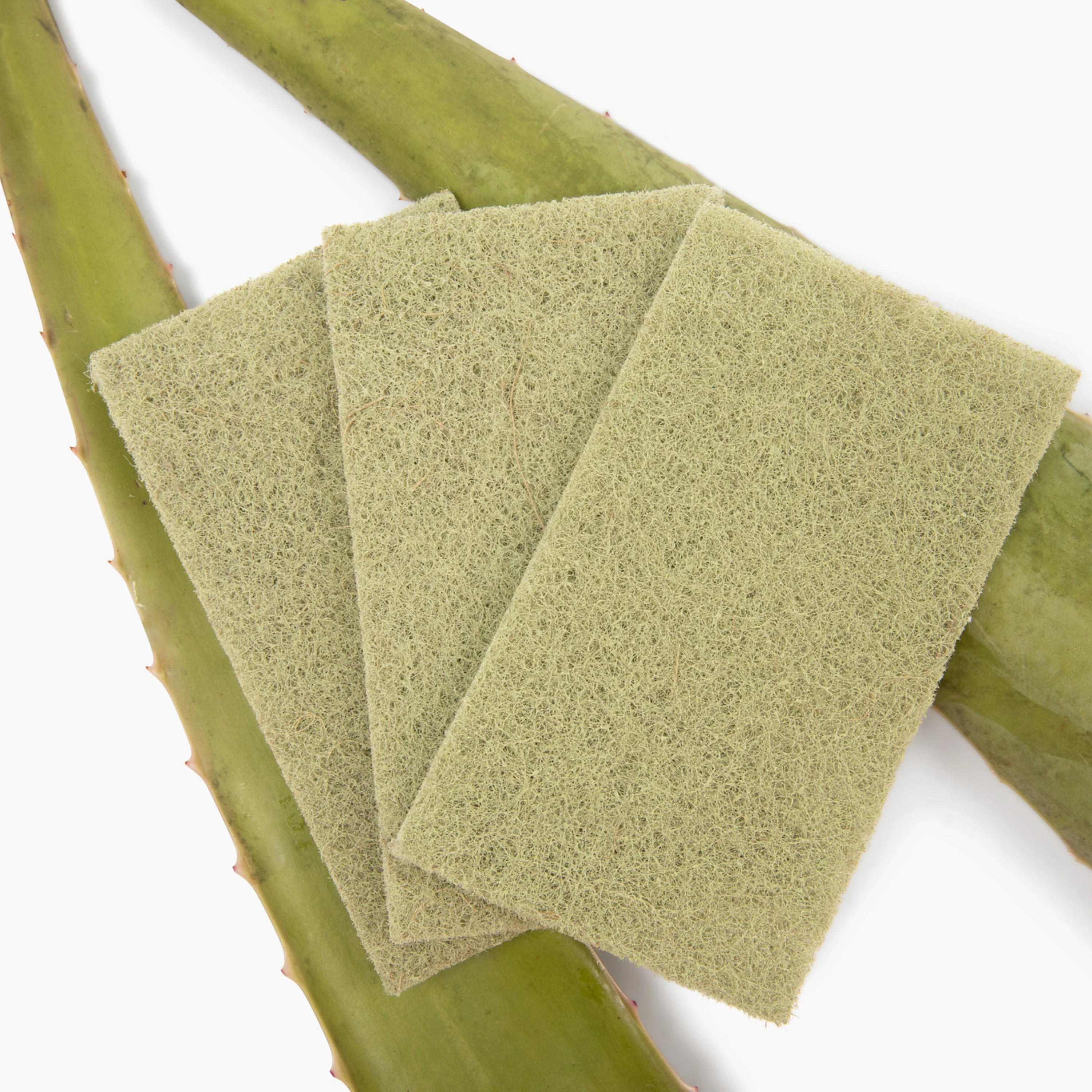 Agave Leaf Scour Pads - Image 3