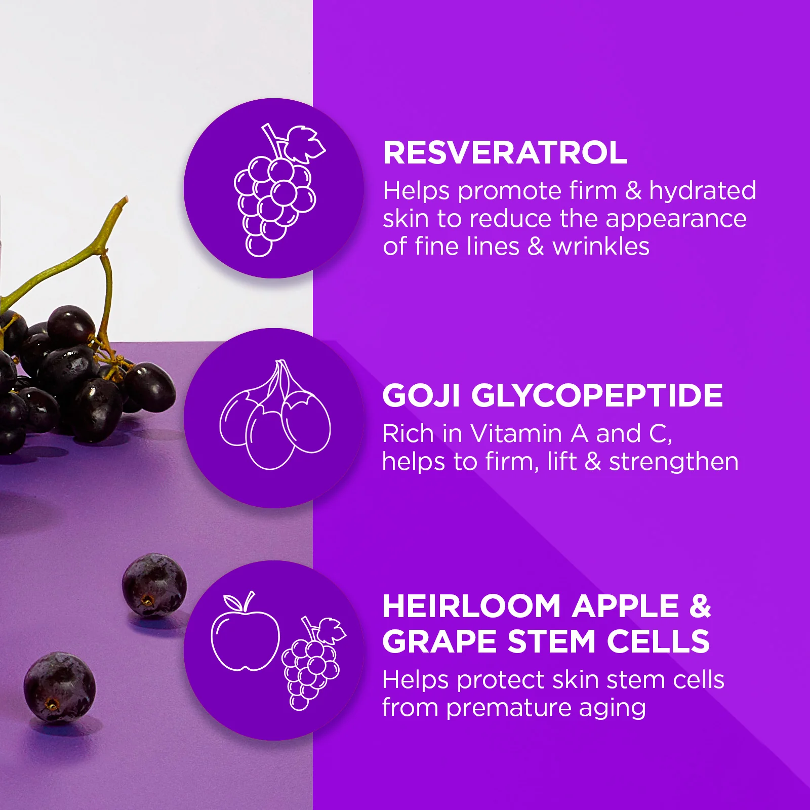 Age Defying Resveratrol Q10 Night Repair Cream - Image 6