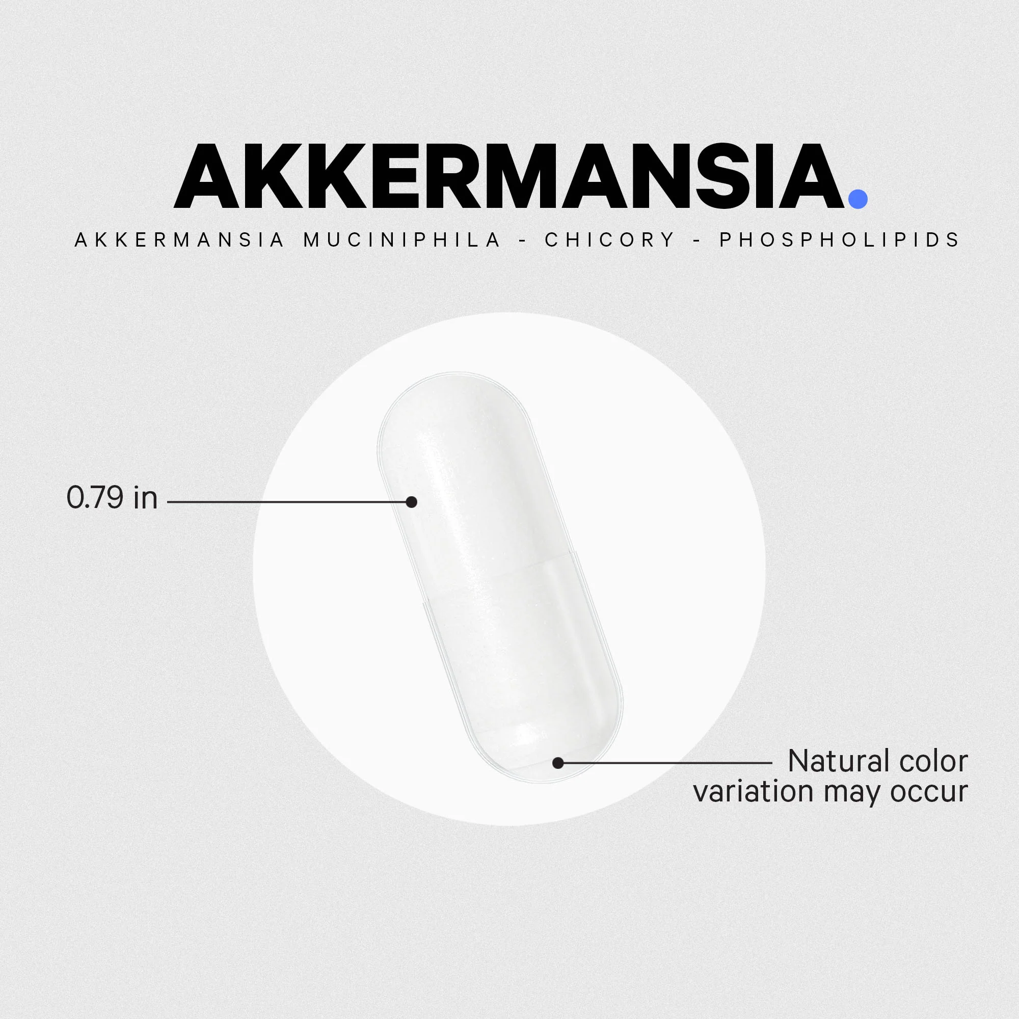 Akkermansia Capsules, Probiotic + Prebiotic - Image 13