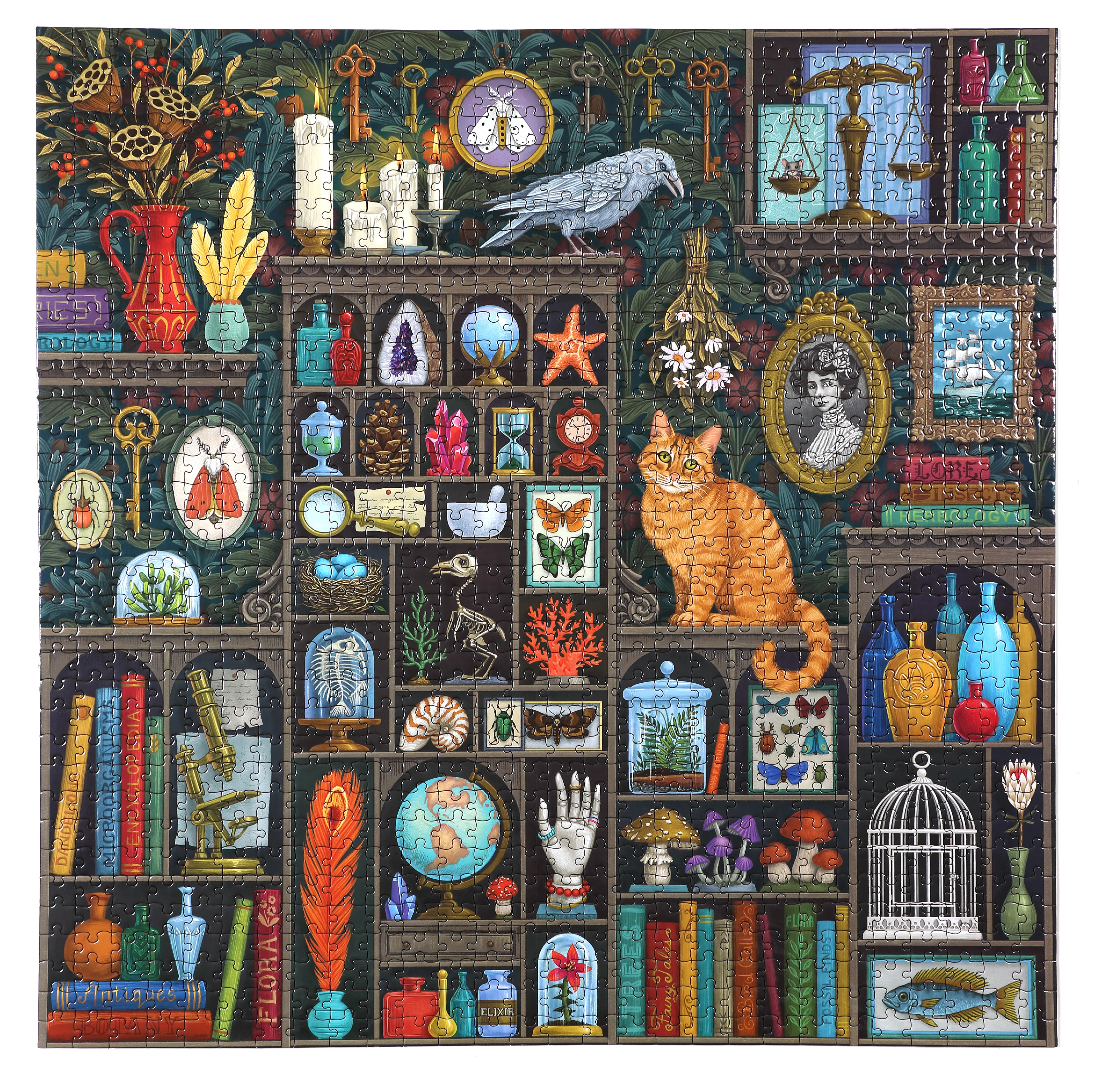 Alchemist's Cabinet 1000 Piece Puzzle - Image 5