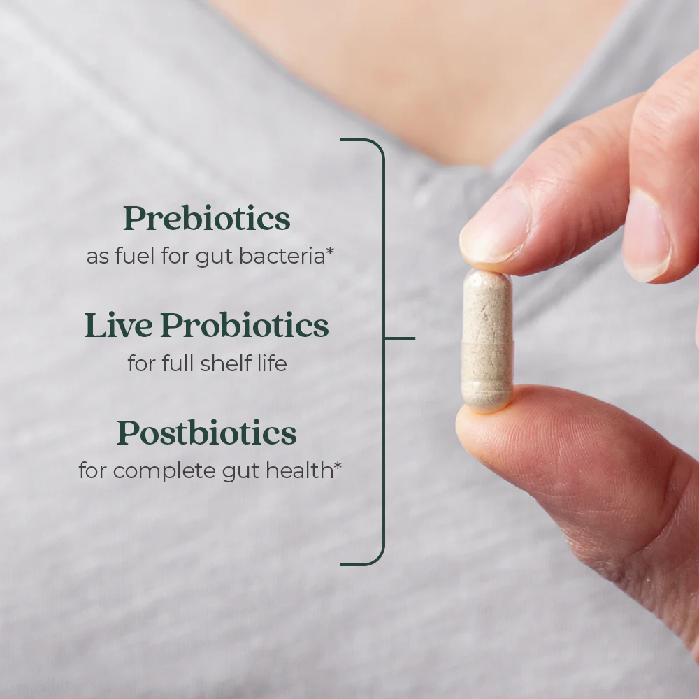 All-Flora™ Probiotic for Advanced Digestion & Complete Gut Health - Image 3