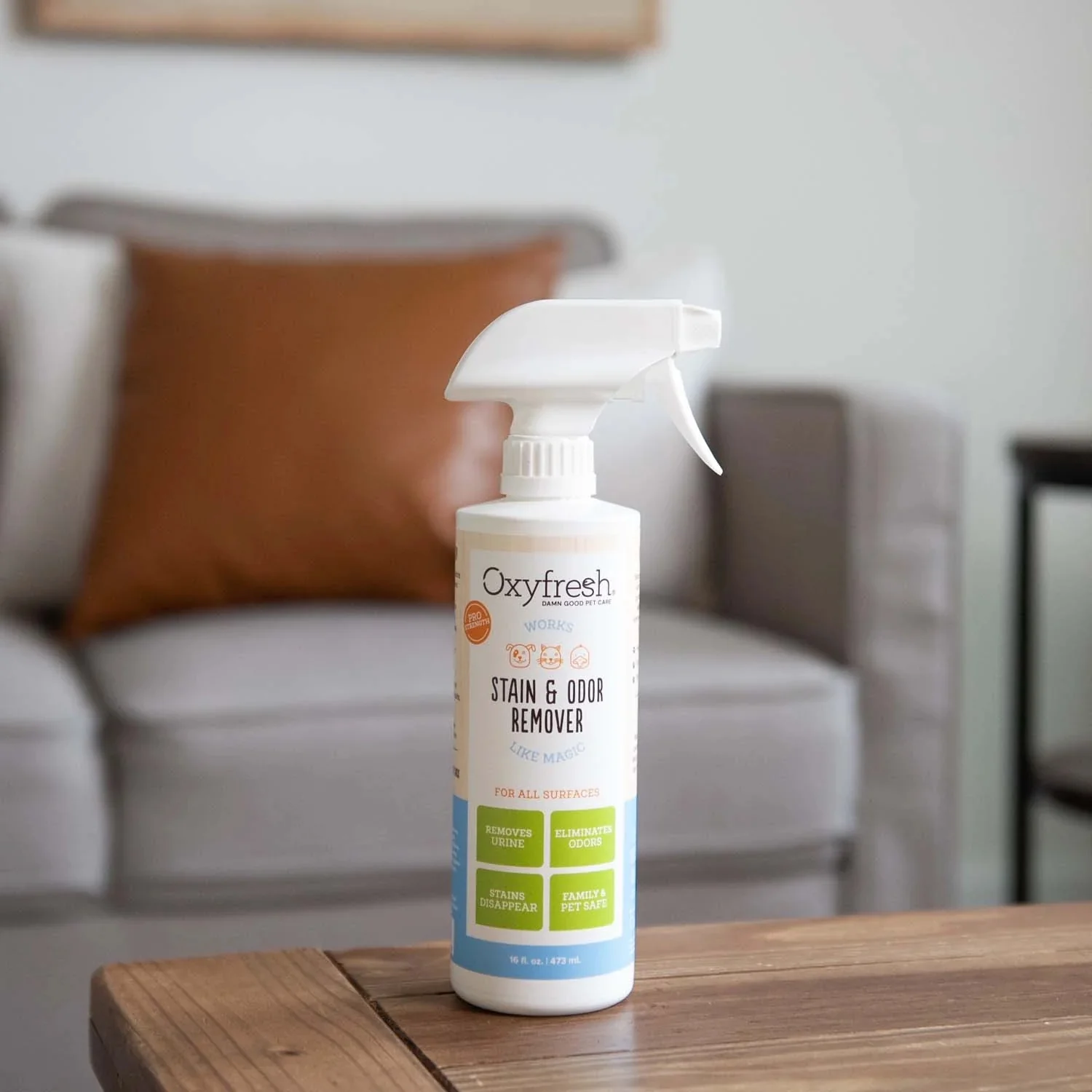 All-Surface Pet Stain & Odor Eliminator - Image 8