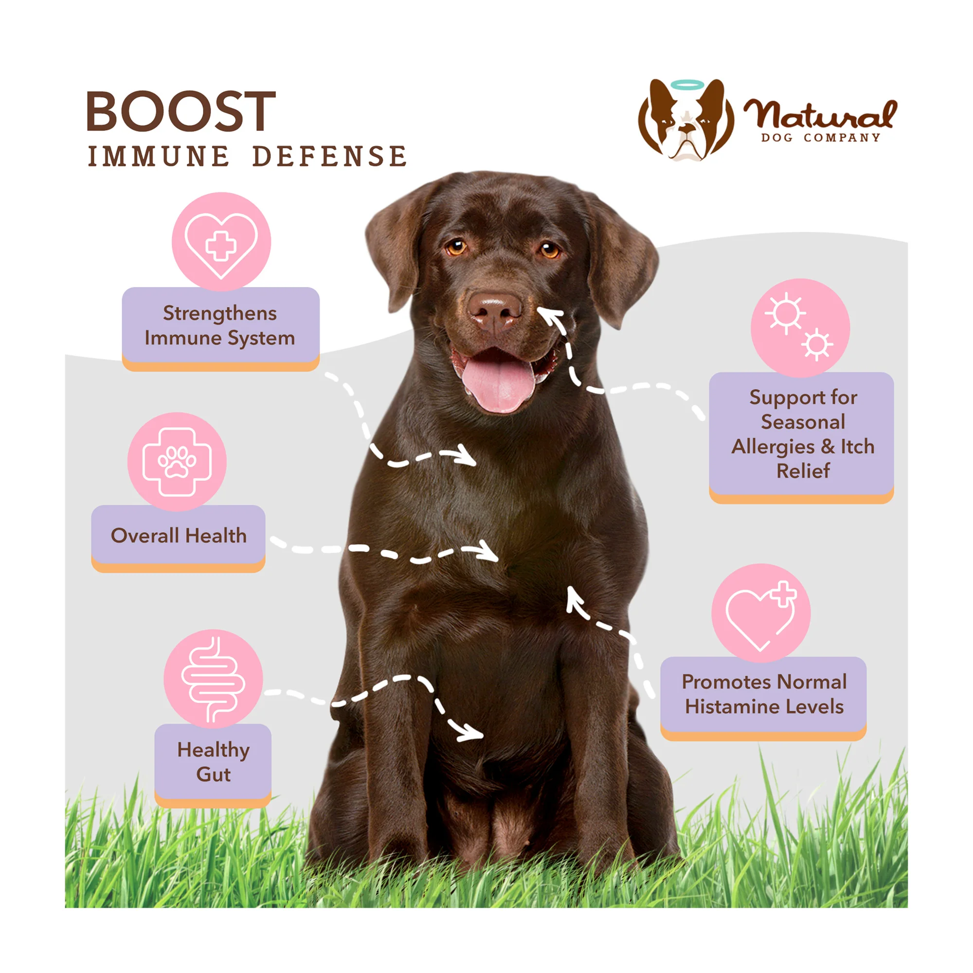 Aller-Immune Supplement, Soft Chews - Image 7