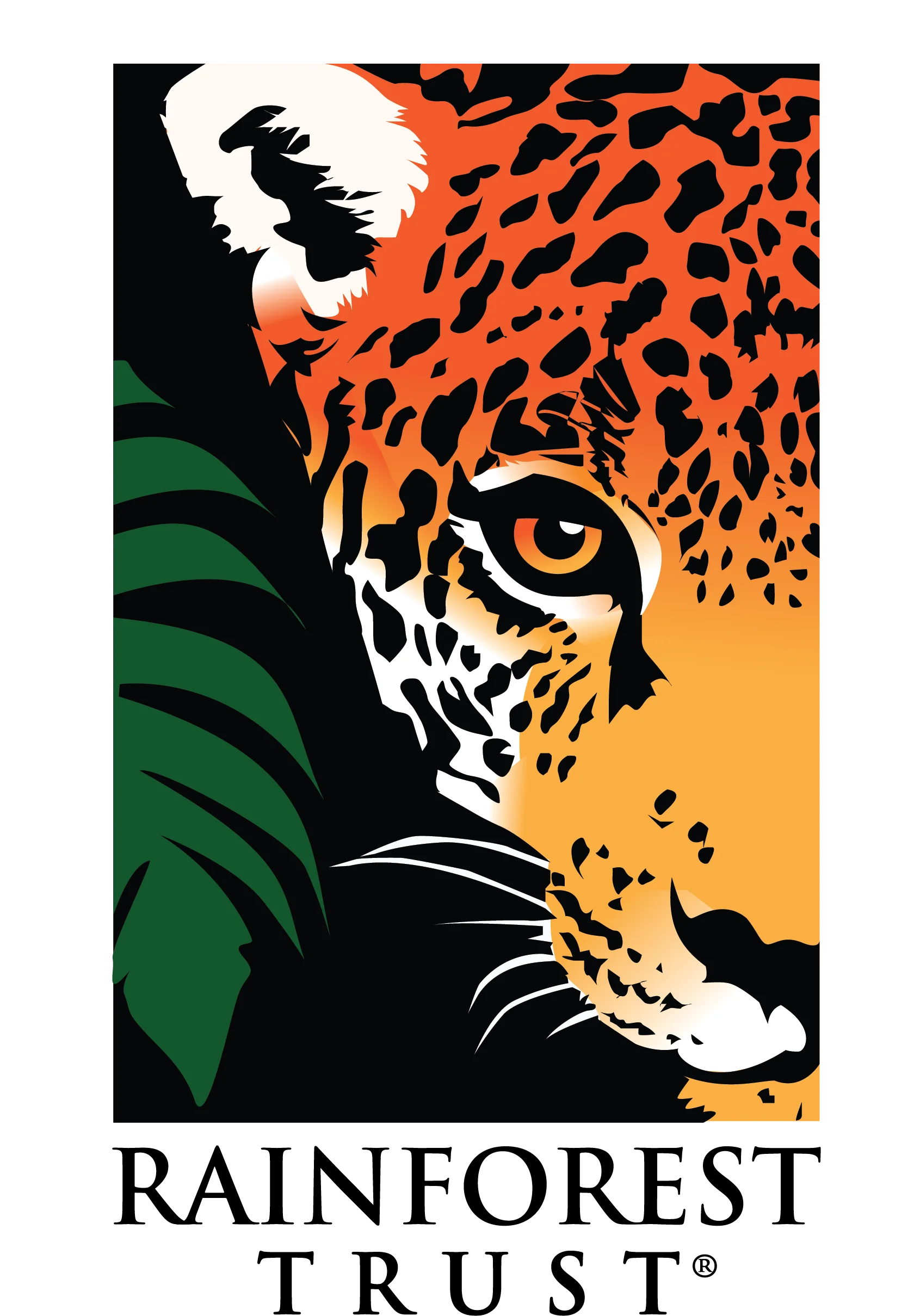 Safeguard Critical Rainforest Habitat - Image 15