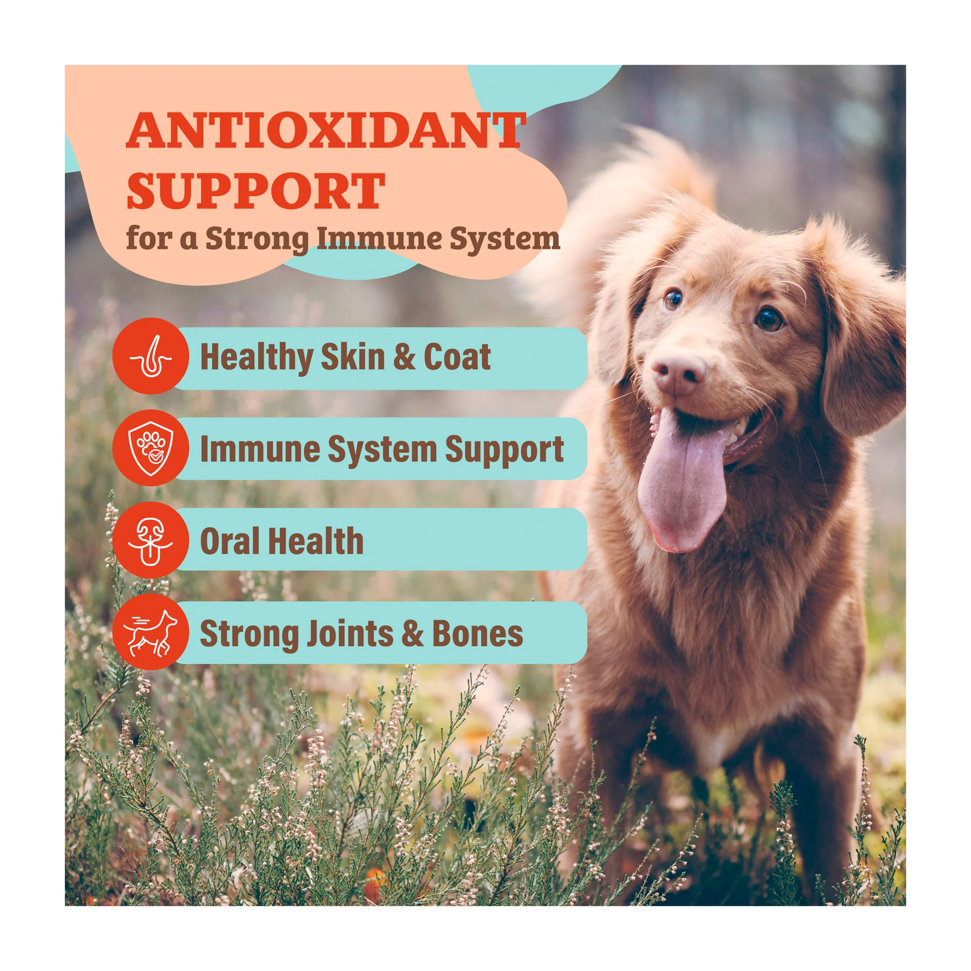 Antioxidant Berry Superfood Granules - Image 7