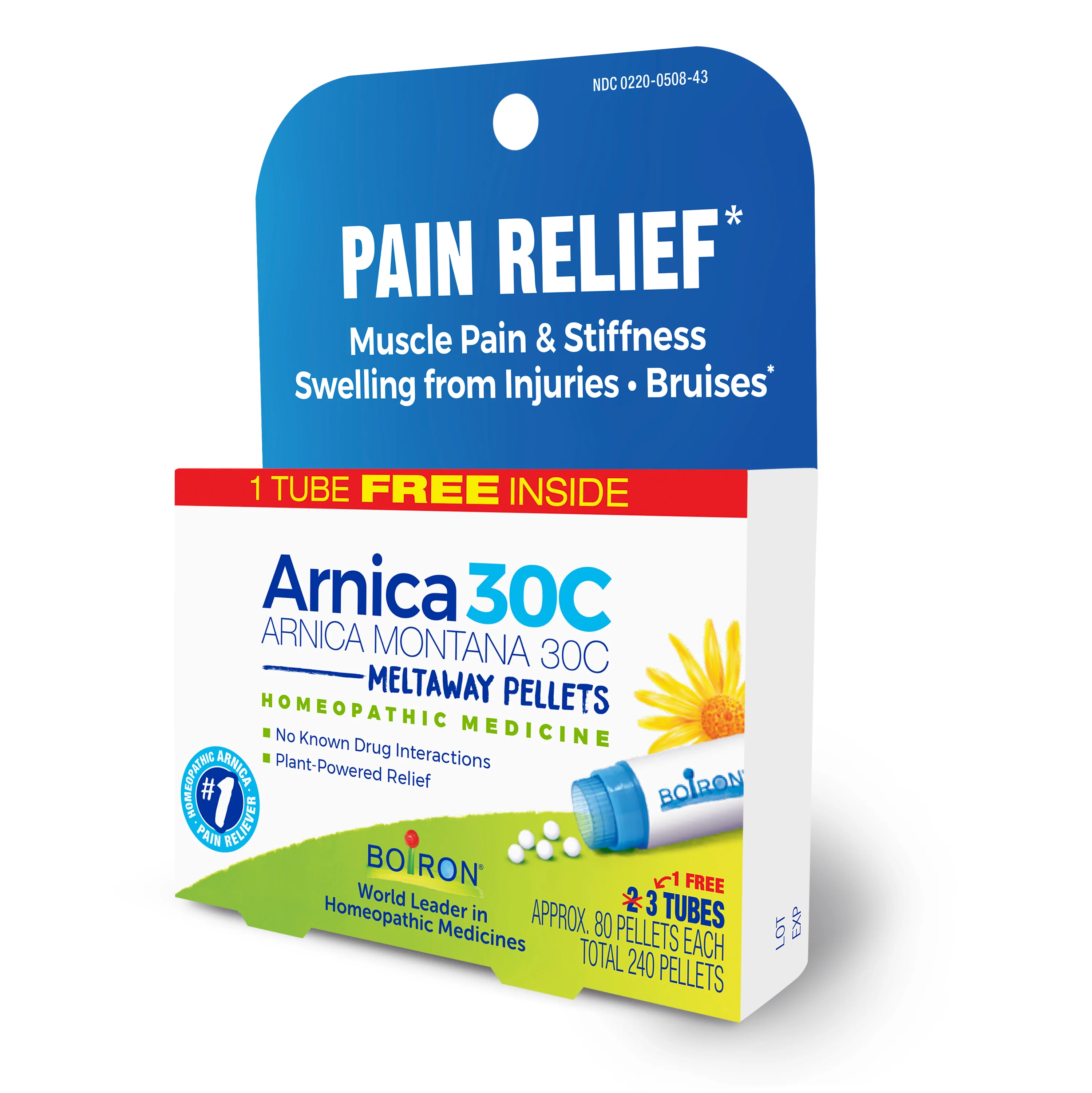 Arnica Montana 30C - Image 5