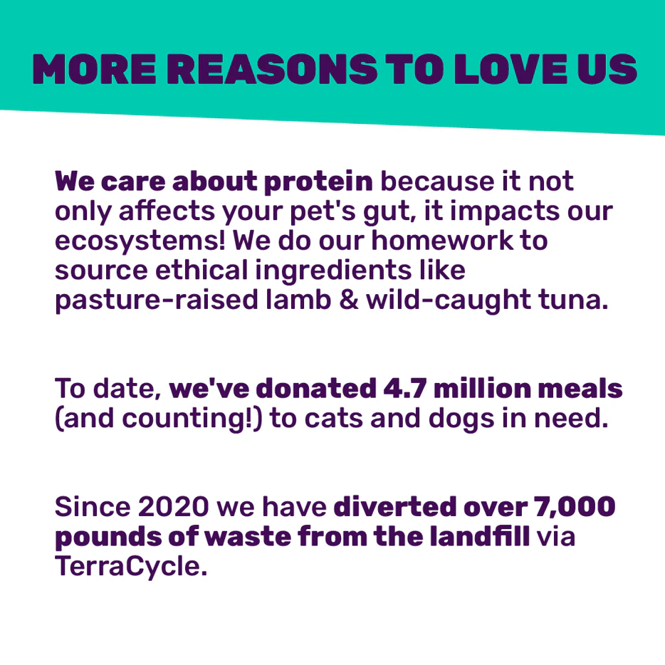 Baked & Saucy Dog Food - Beef Recipe - Image 9