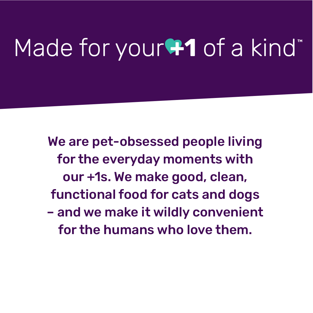 Baked & Saucy w/ Chicken + Sweet Potato Baked Kibble - Image 6