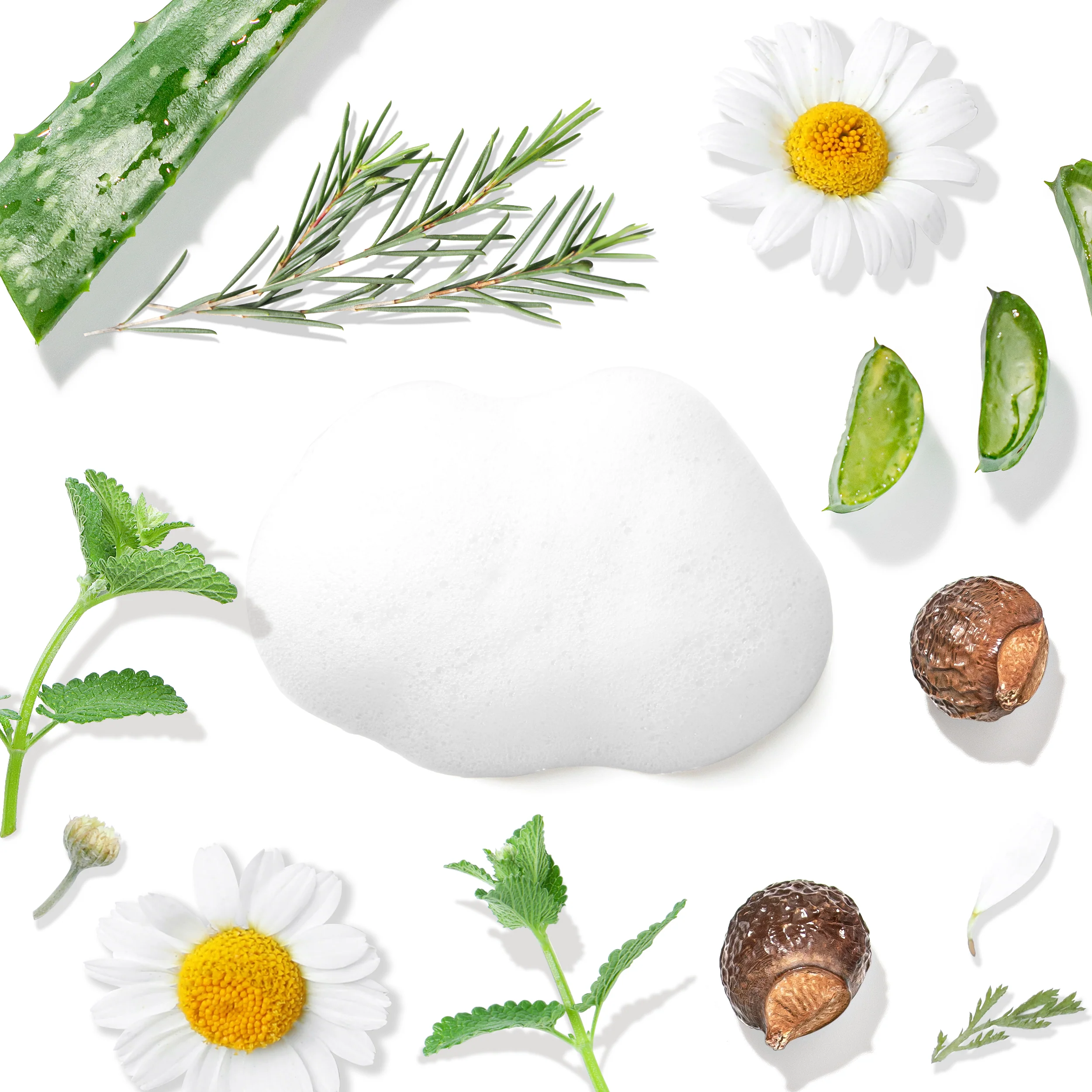 Balancing Tea Tree Face Wash for Oily Skin - Image 3