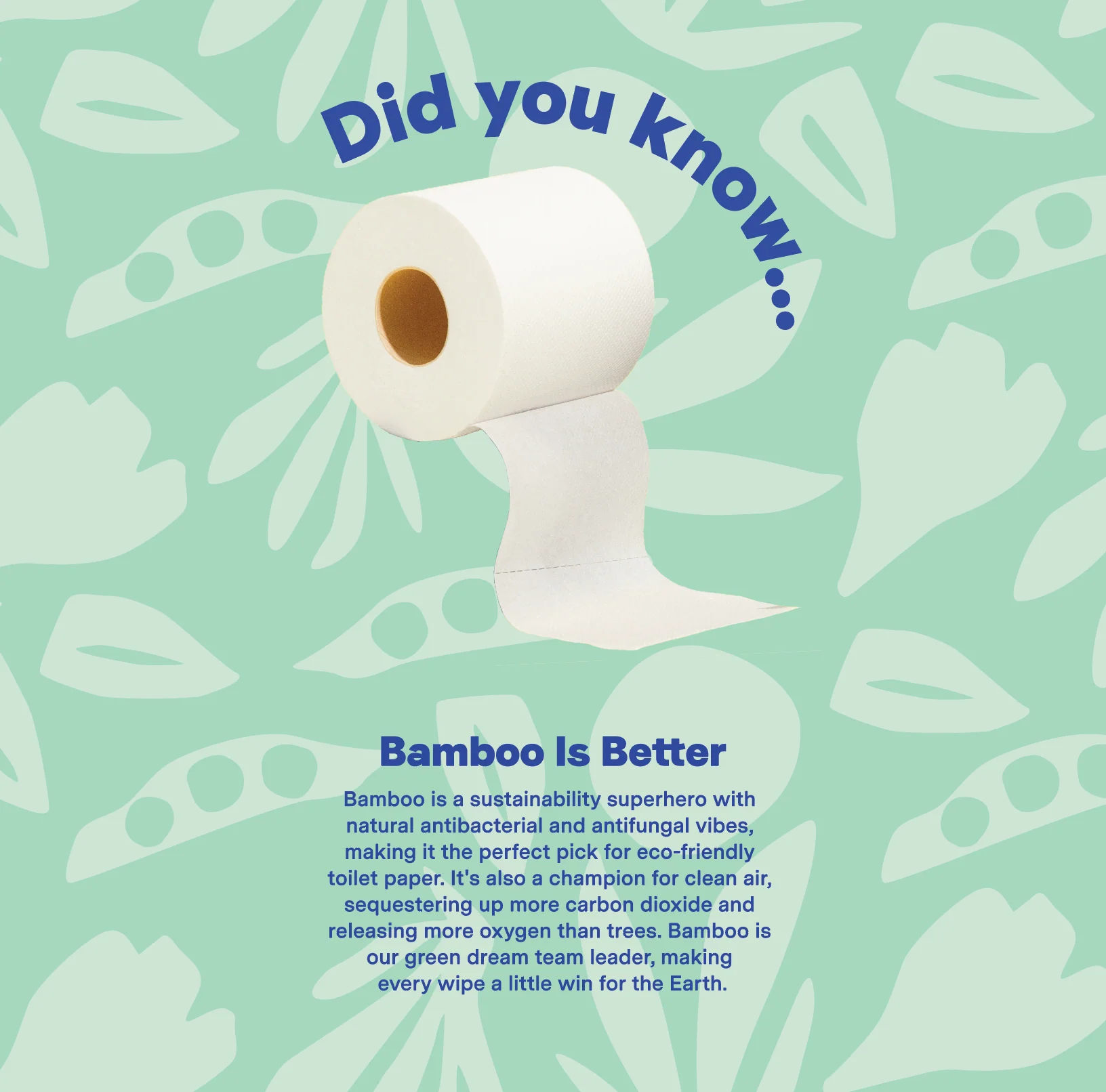 Ultra Soft 3-ply Bamboo Toilet Paper (300 sheets per roll) - Image 4