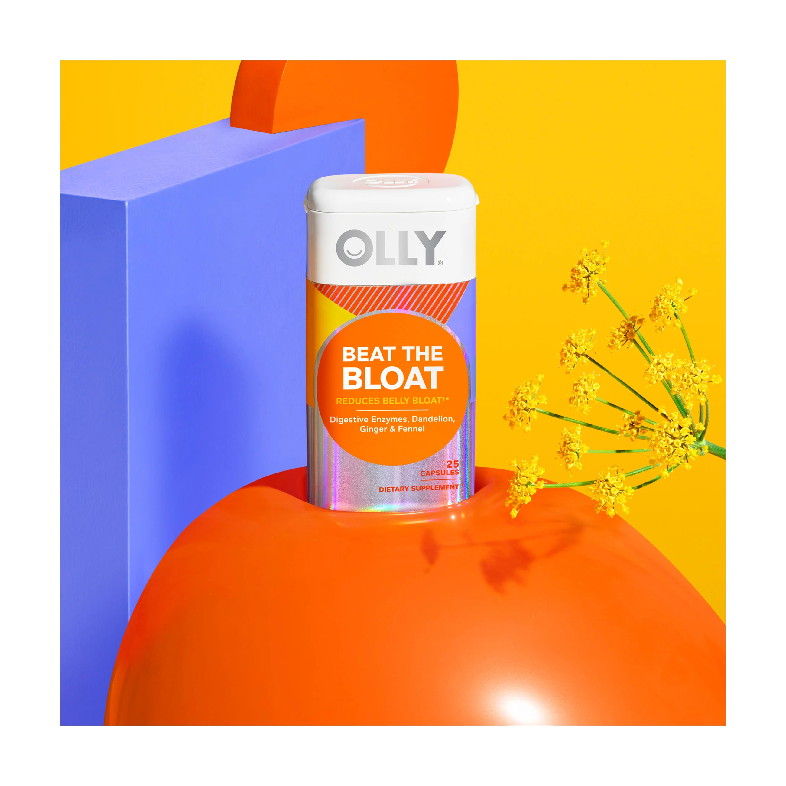Beat the Bloat - Image 5
