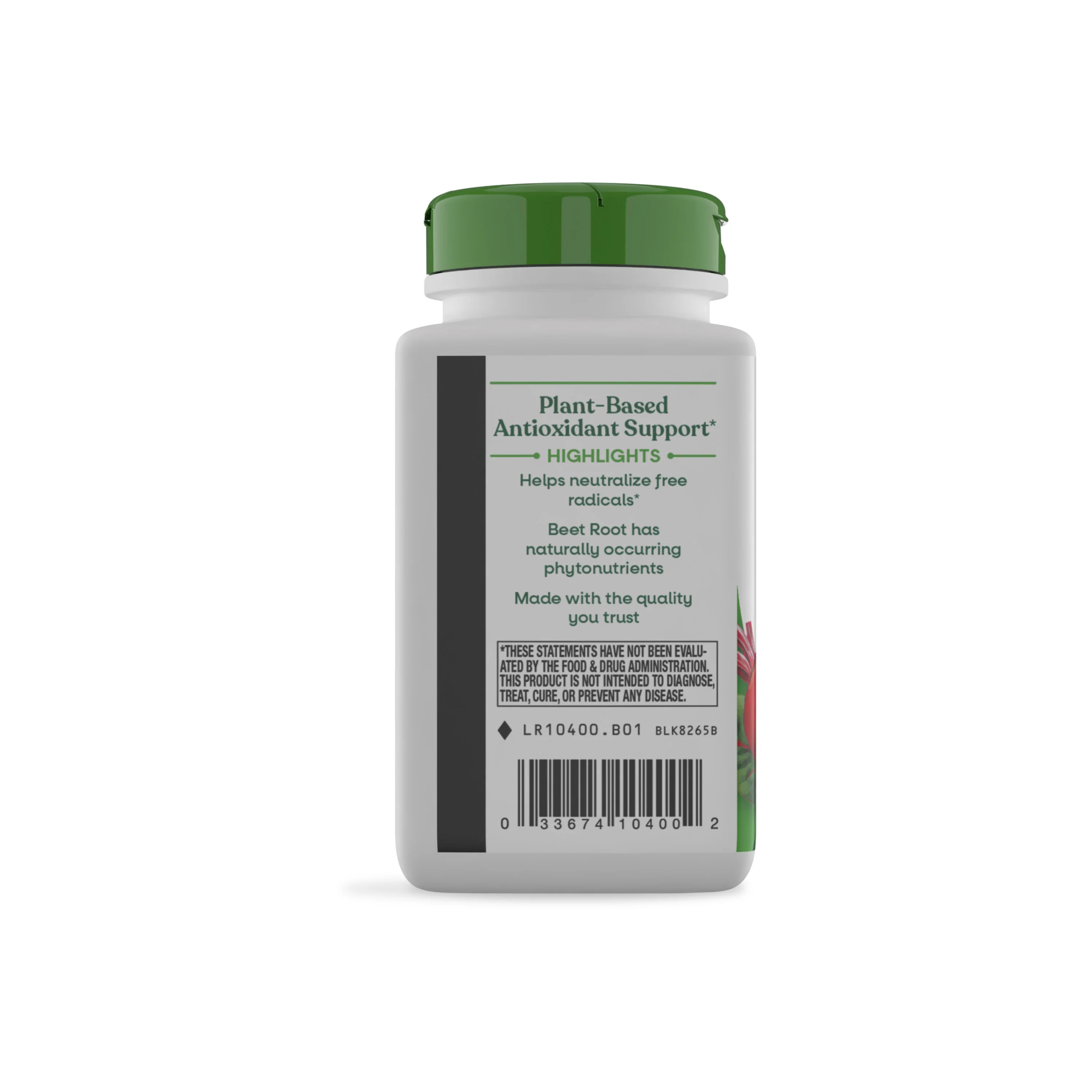 Beet Root - Image 11