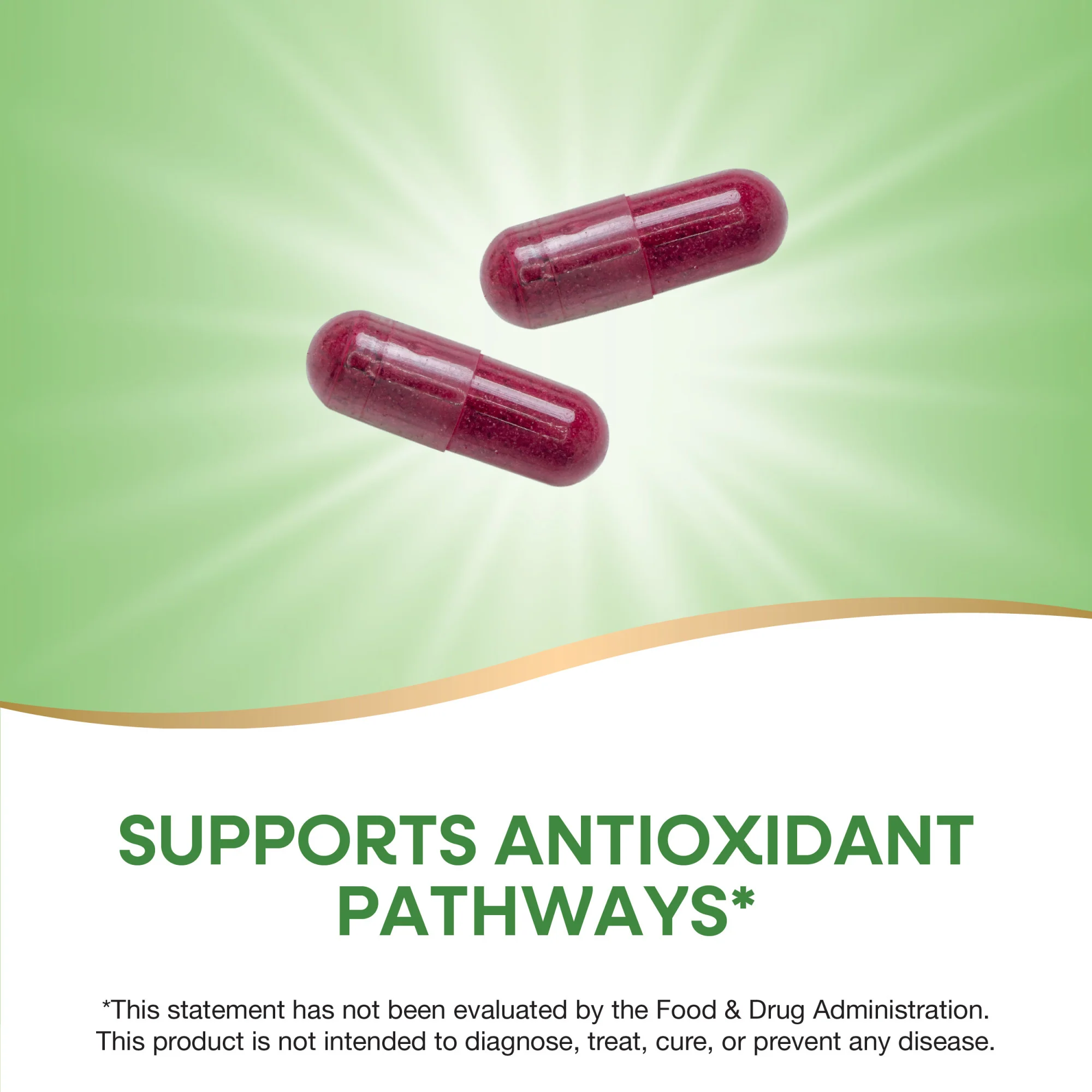 Beet Root - Image 3