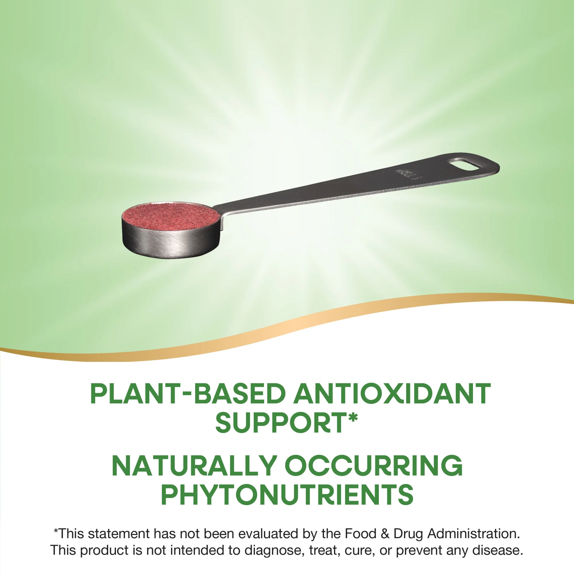 Beet Root Powder - Image 2