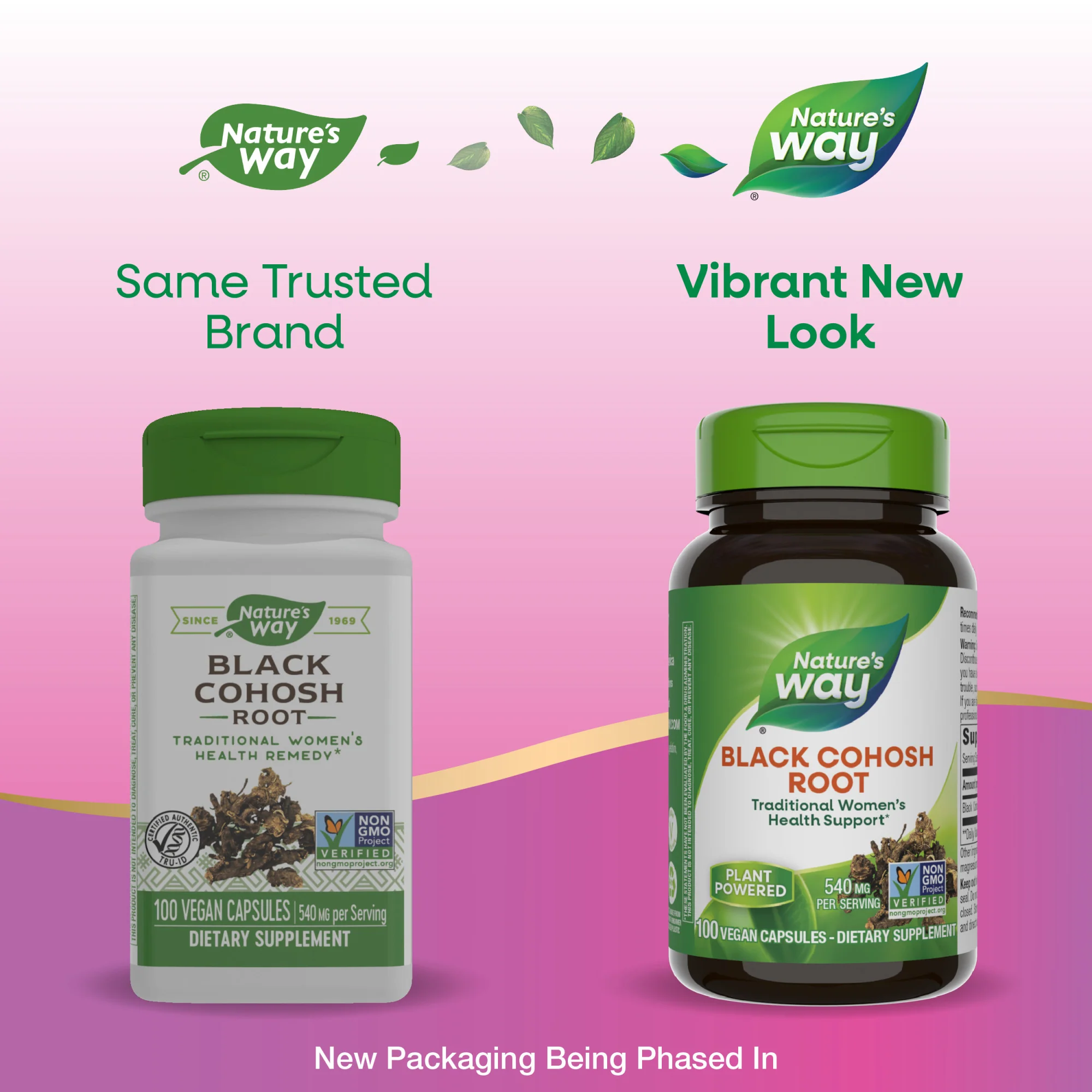 Black Cohosh Root - Traditional Women's Health Remedy - Image 18