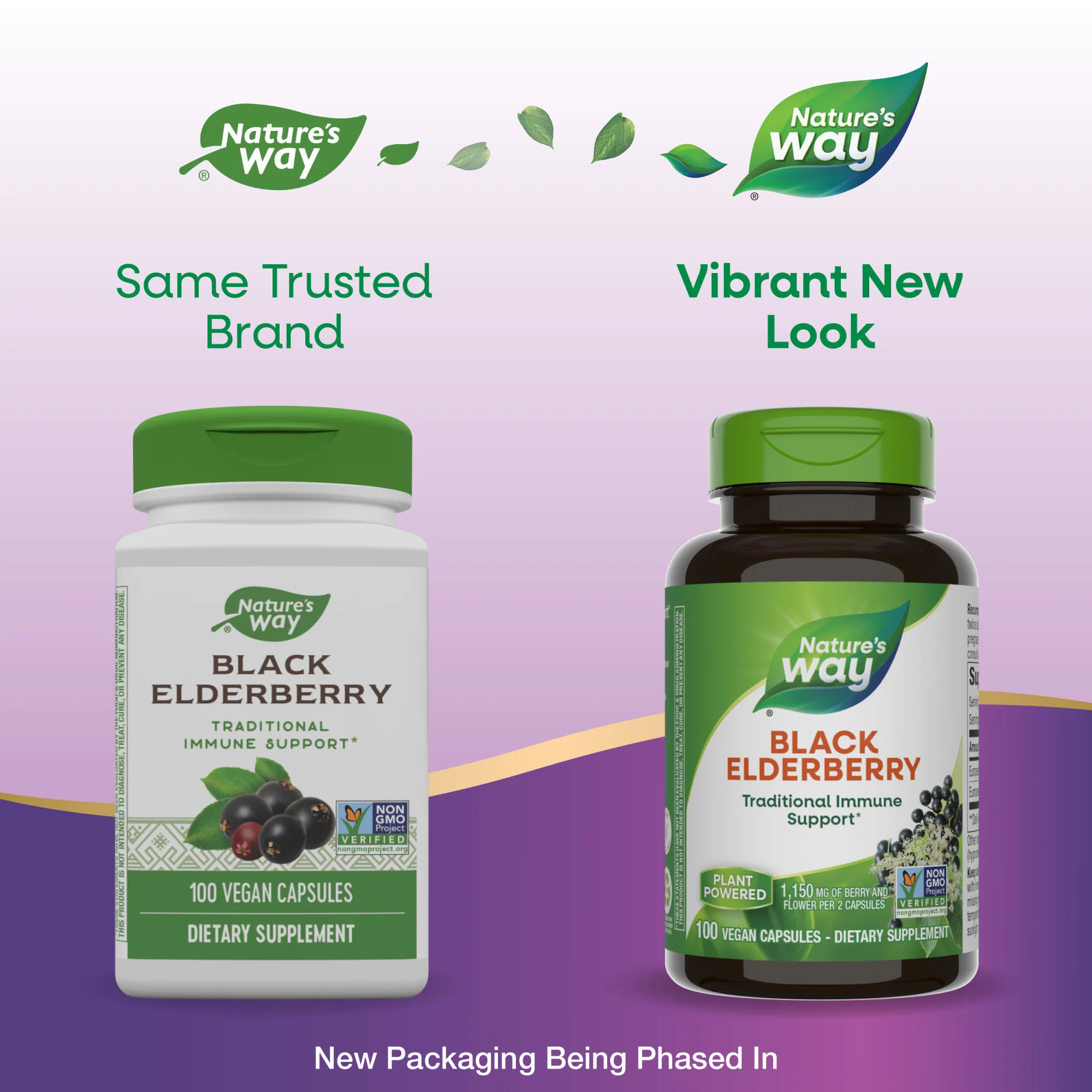 Black Elderberry - For Traditional Immune Support - Image 5