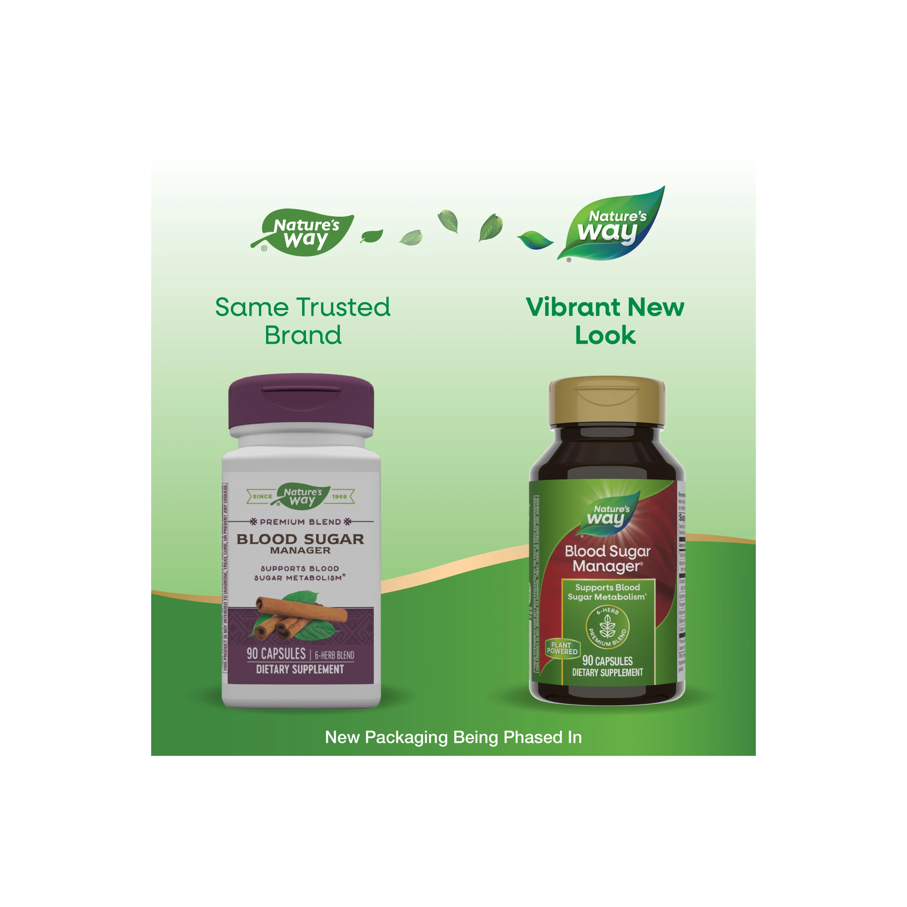 Blood Sugar Manager - Image 8