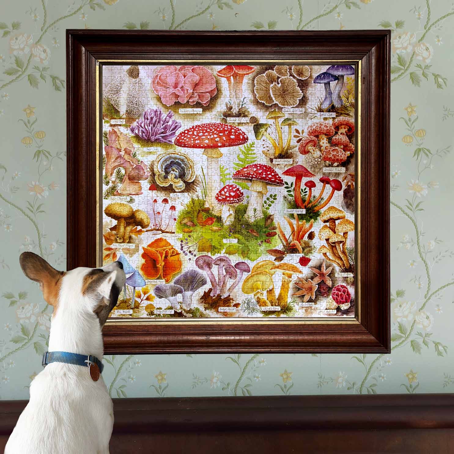 Bountiful Mushrooms 1000 Piece Puzzle - Image 6