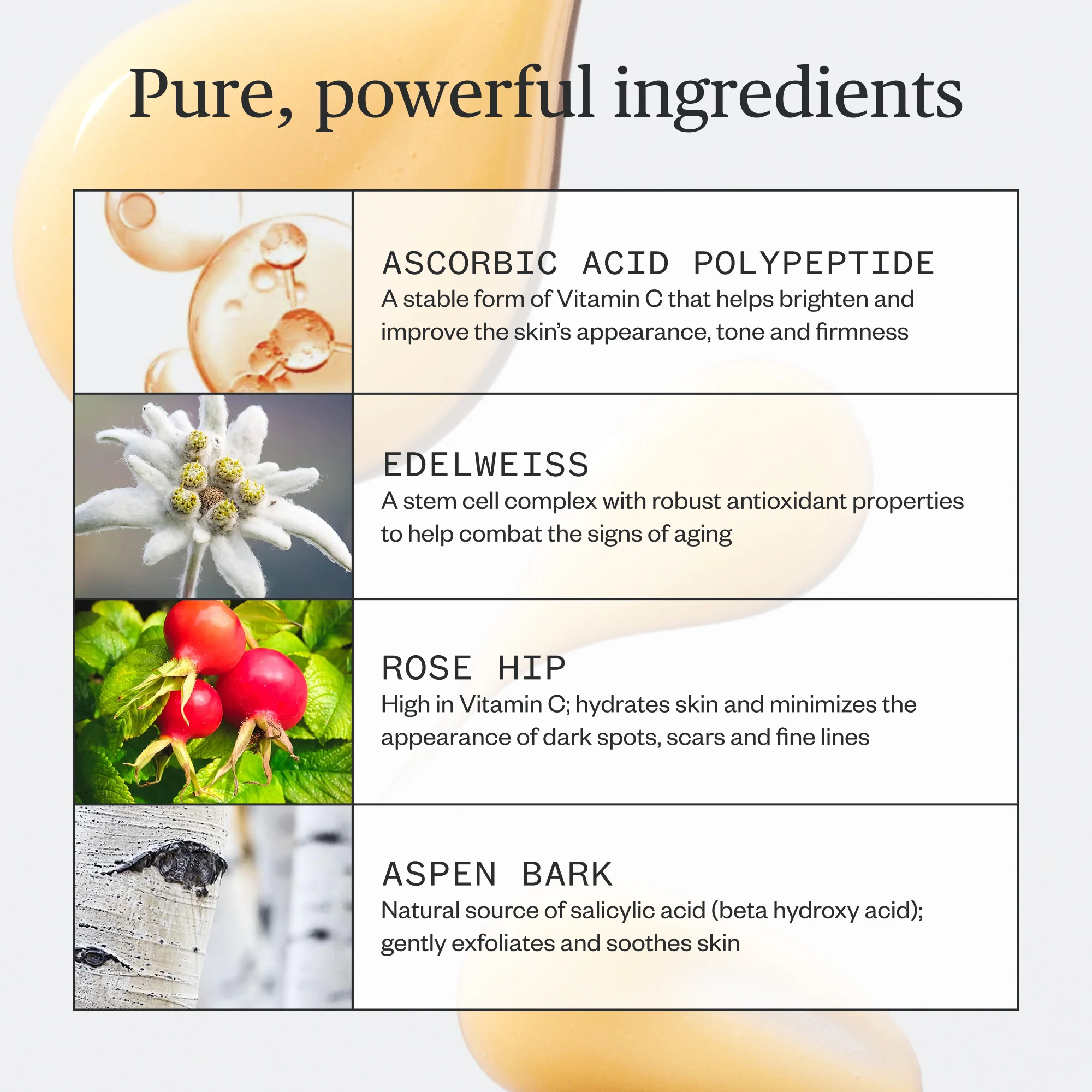 Brighten Up Vitamin C Serum - Image 8