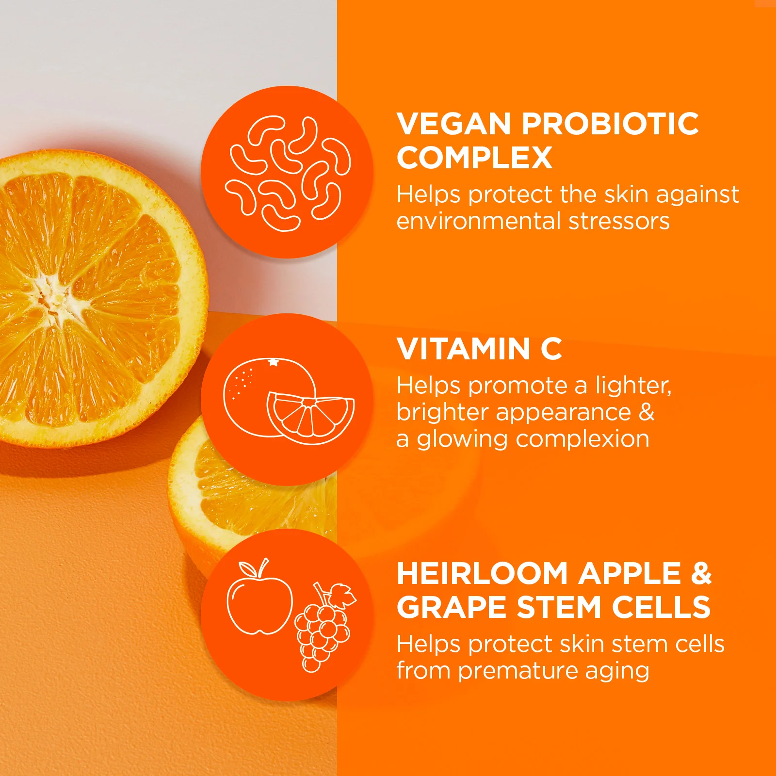 Brightening Probiotic + C Renewal Cream - Image 5