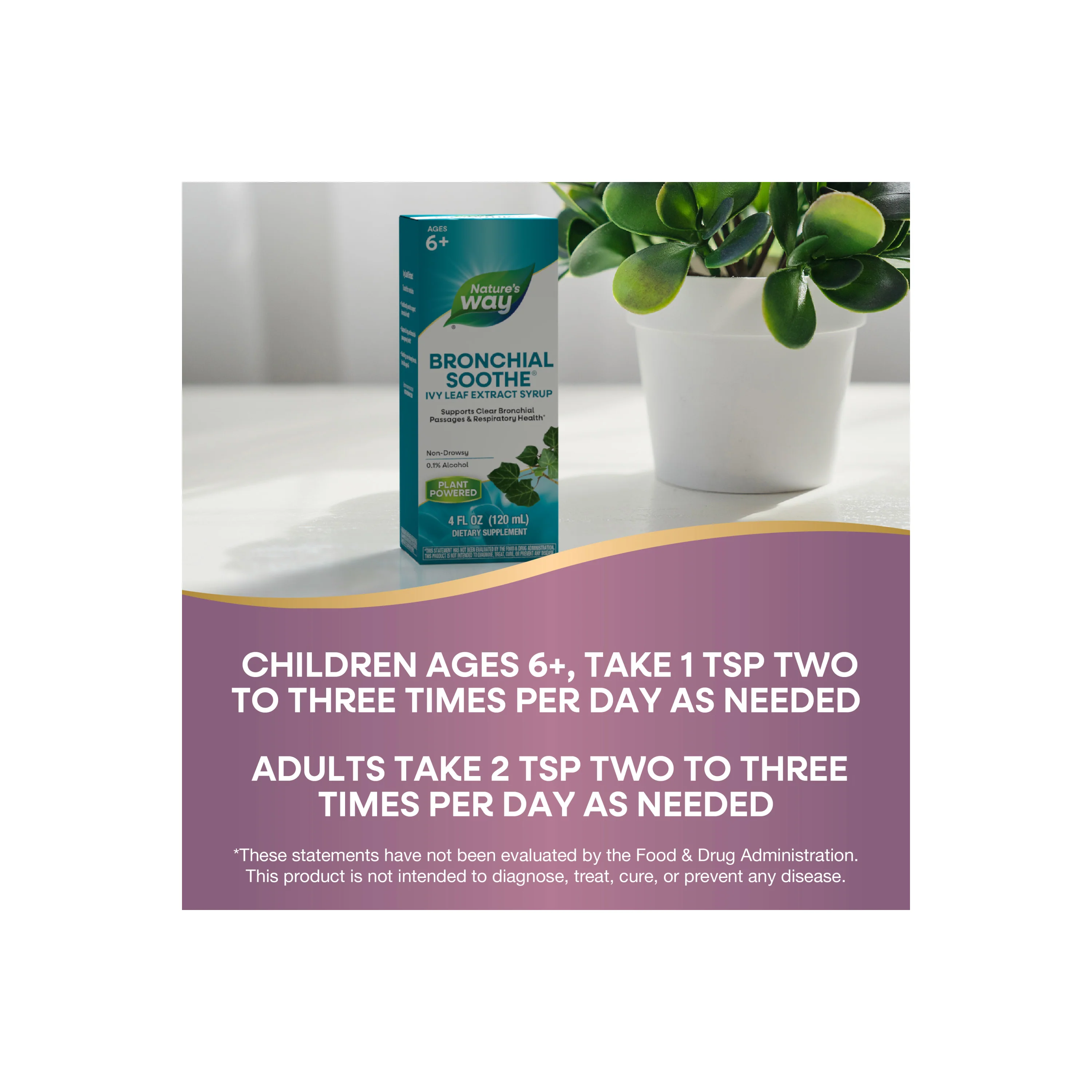 Bronchial Soothe® Syrup - Image 13