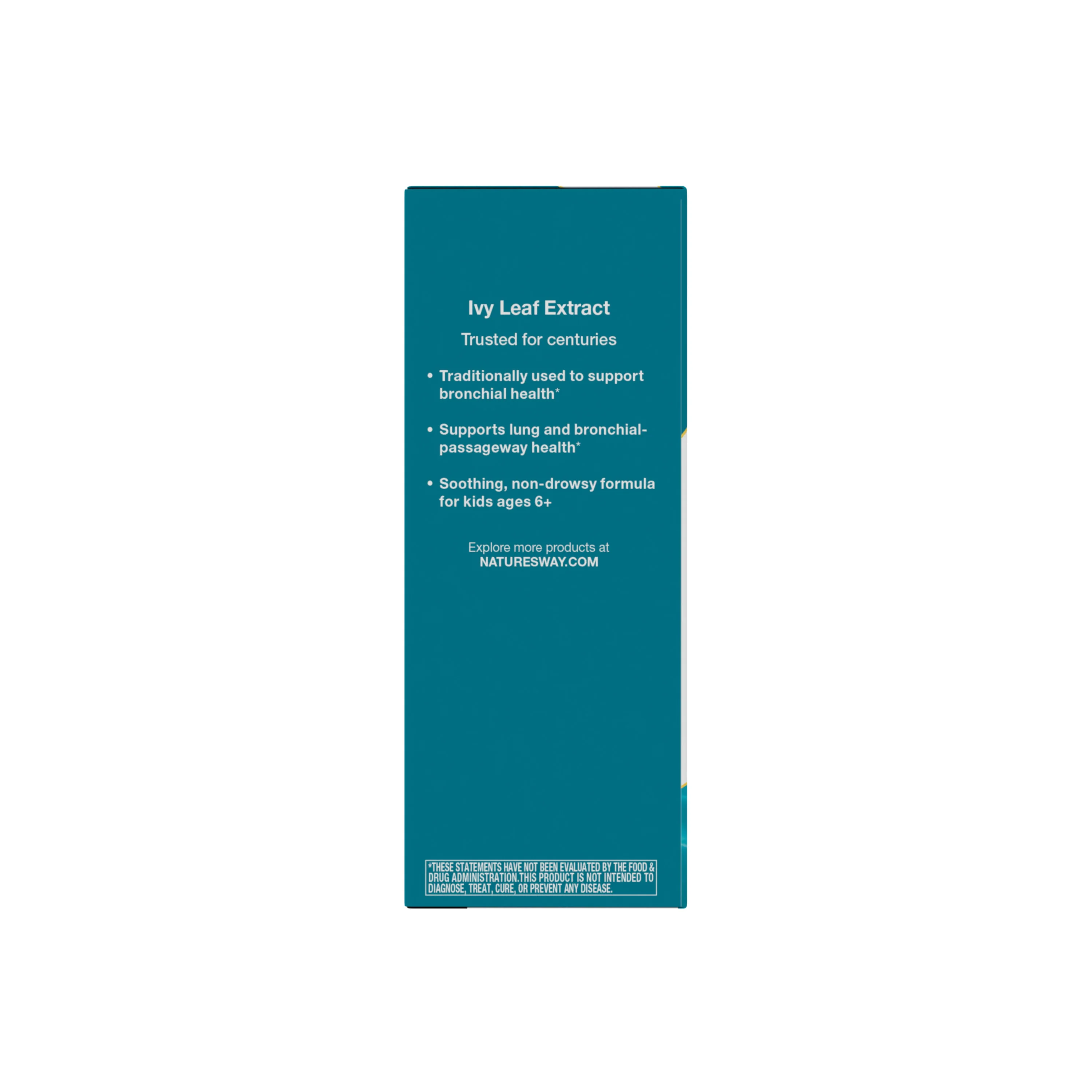 Bronchial Soothe® Syrup - Image 8