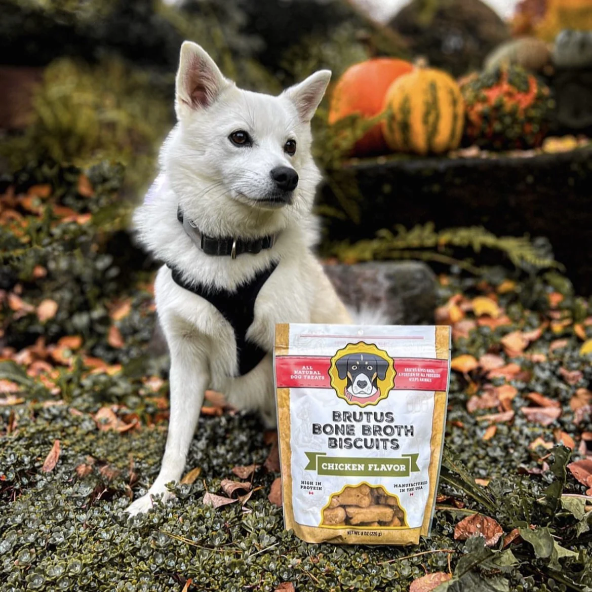 Brutus Bone Broth Biscuits - Image 15