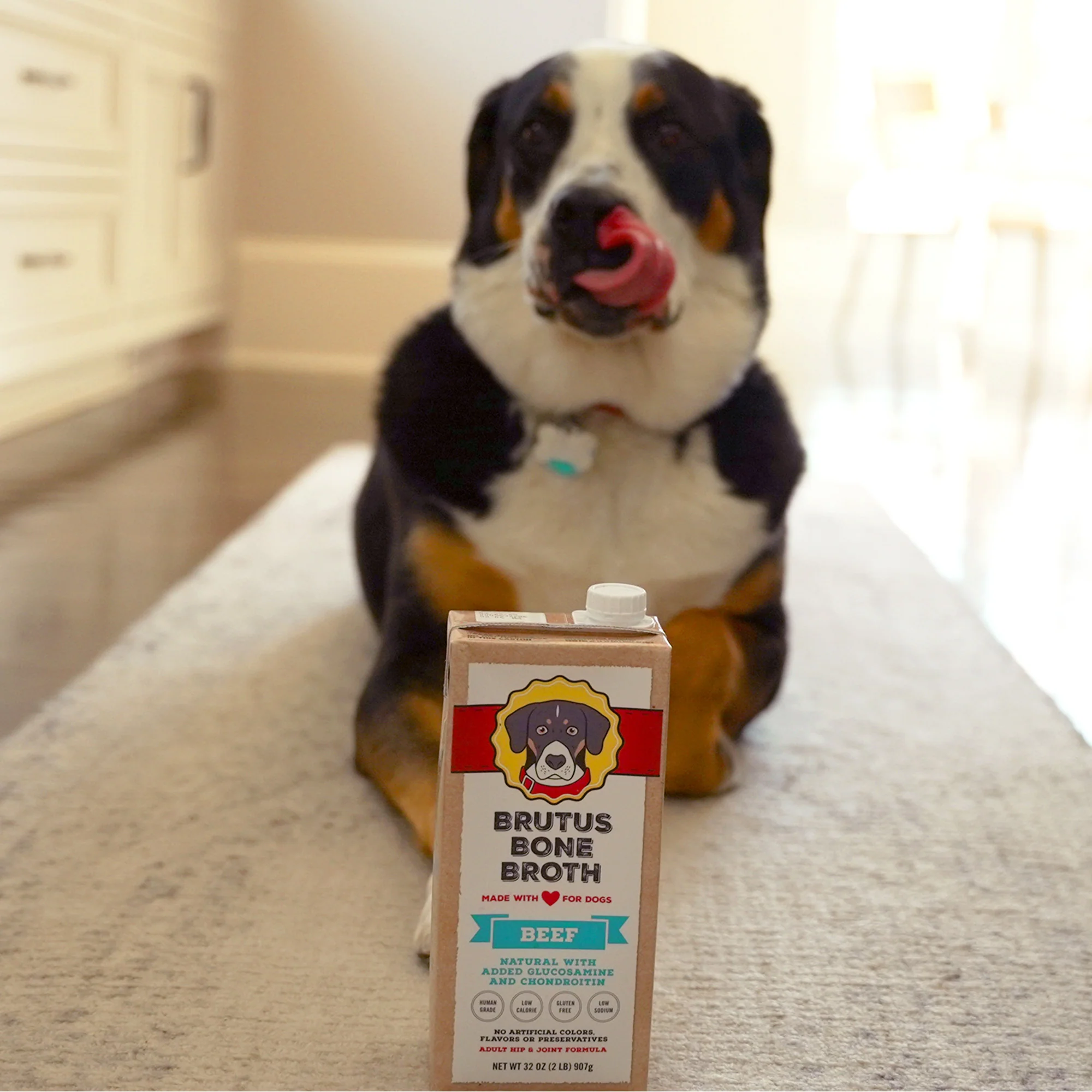 Brutus Bone Broth Hip & Joint - Image 5
