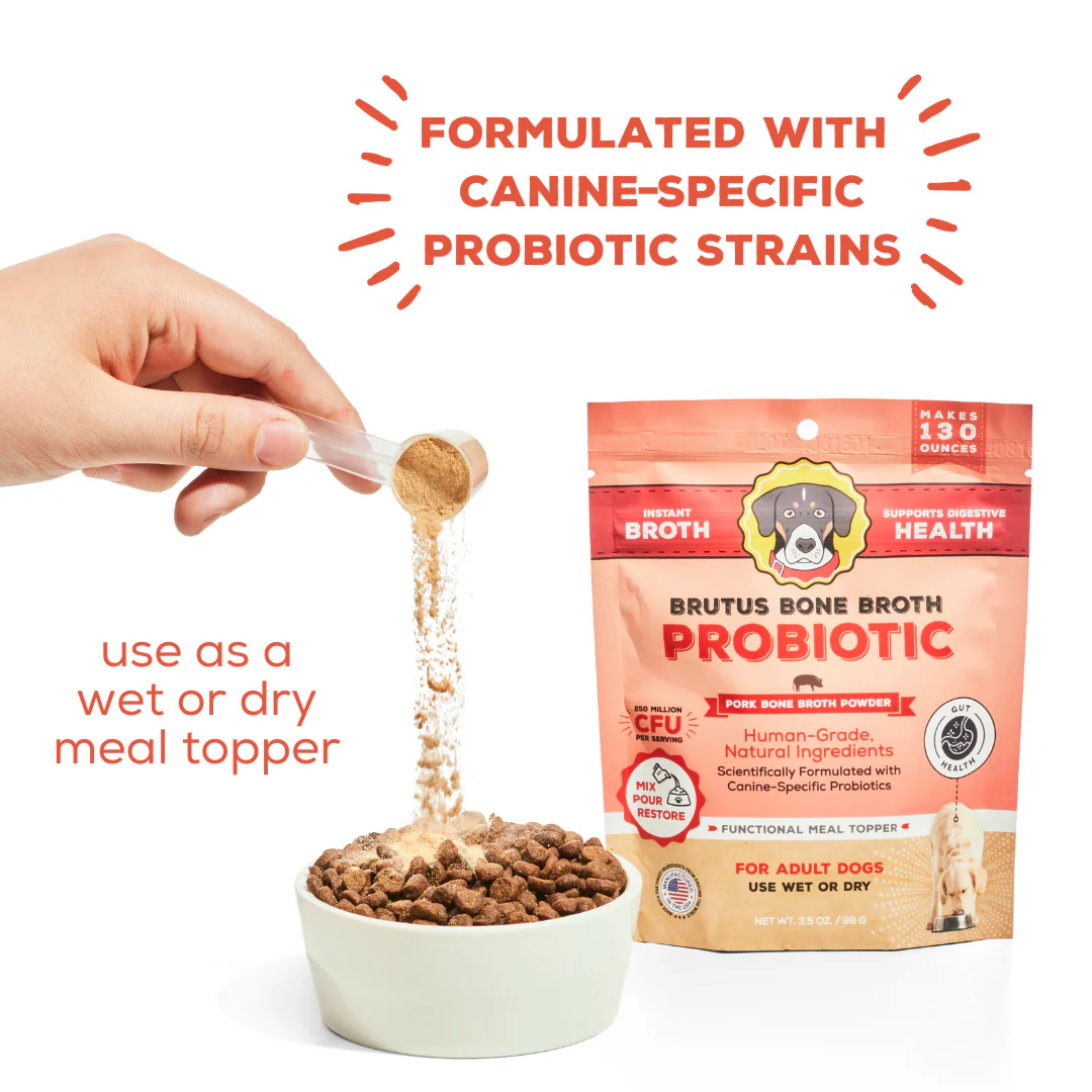 Brutus on the Go: Probiotics Instant Bone Broth Mega Pack - Image 4