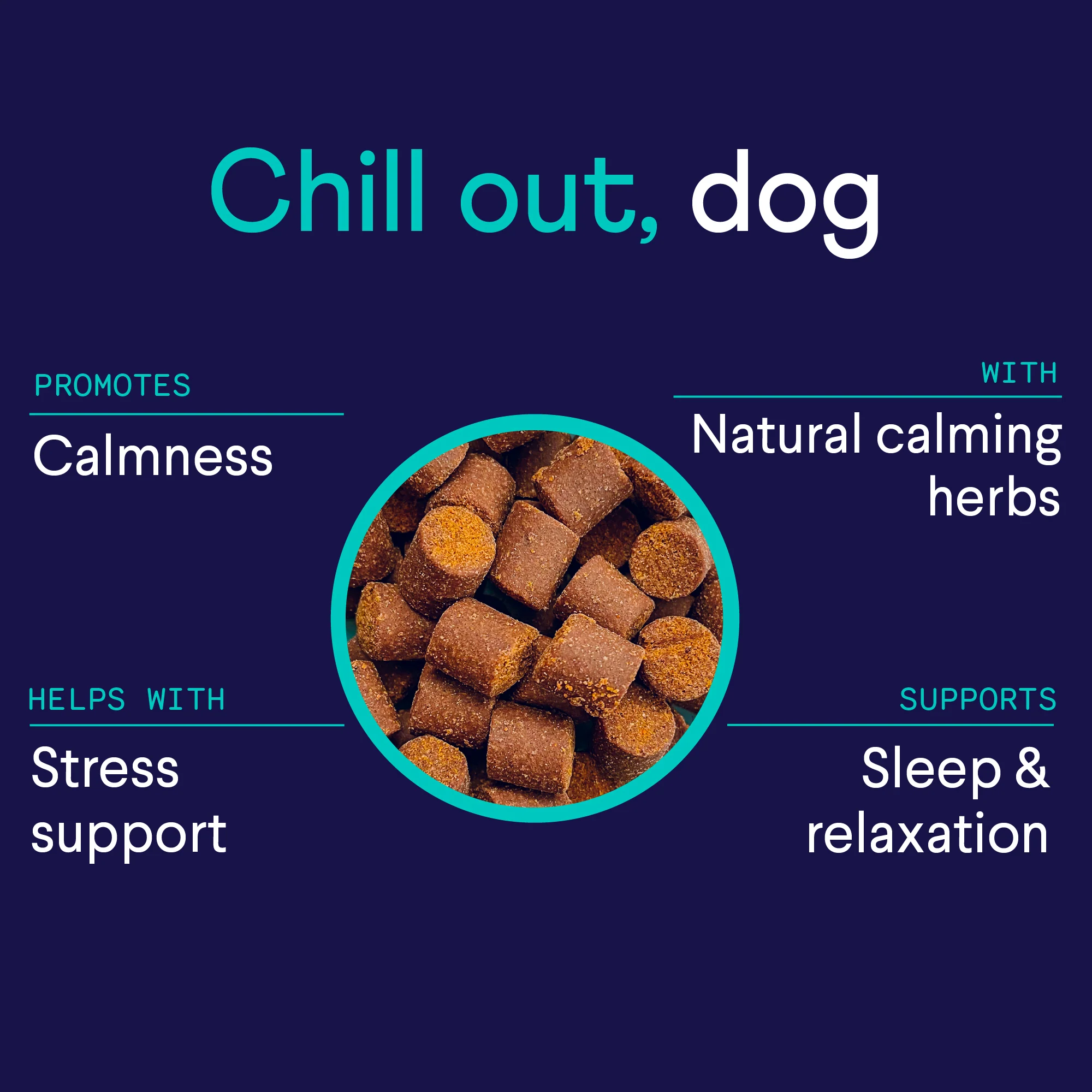 Calming Aid Supplement for Dogs - Image 5