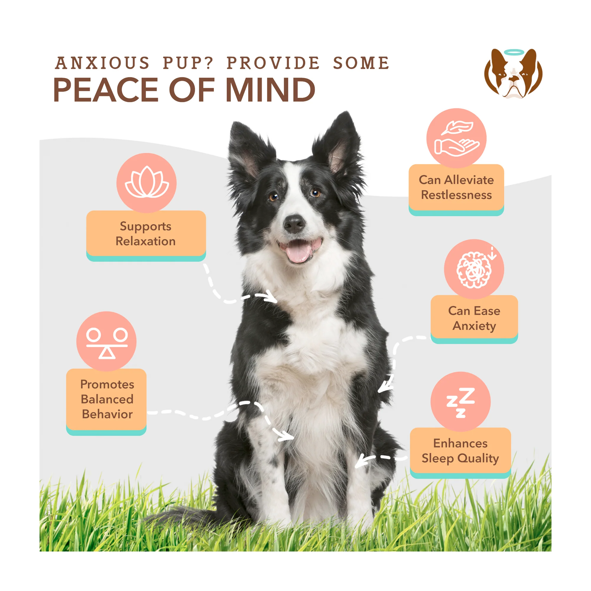 Calming Dog Supplement, Soft Chews - Image 4