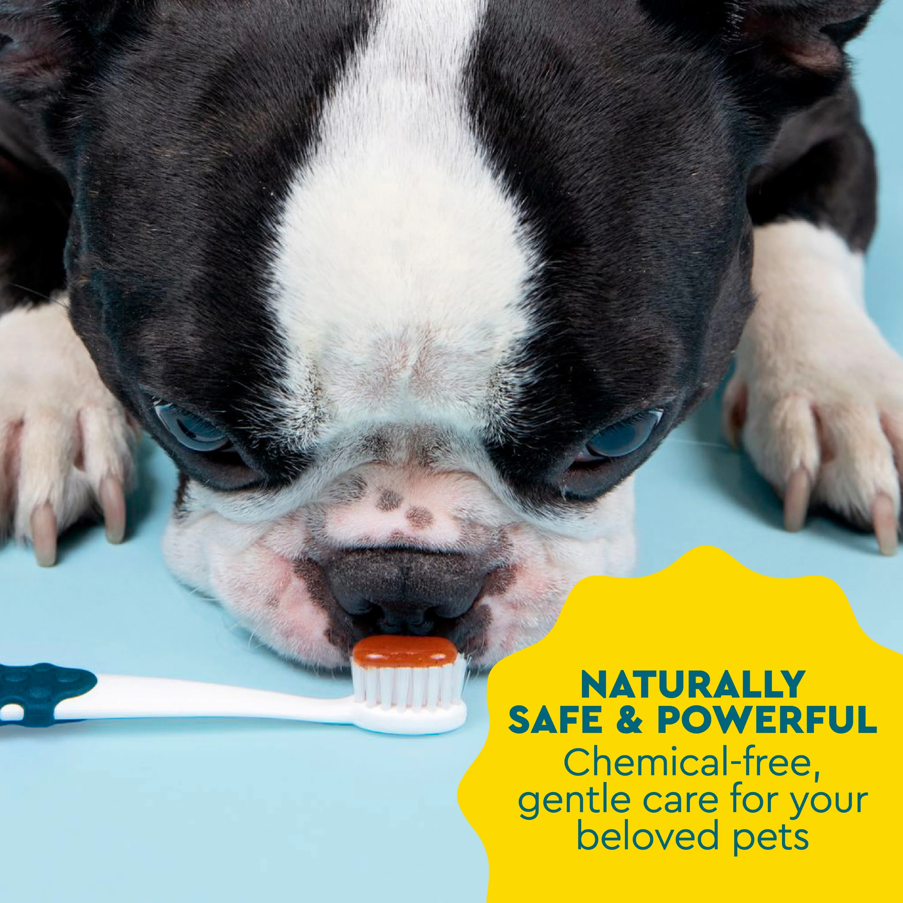 Canine Organic Dental Solutions Kit, All Ages - Image 7