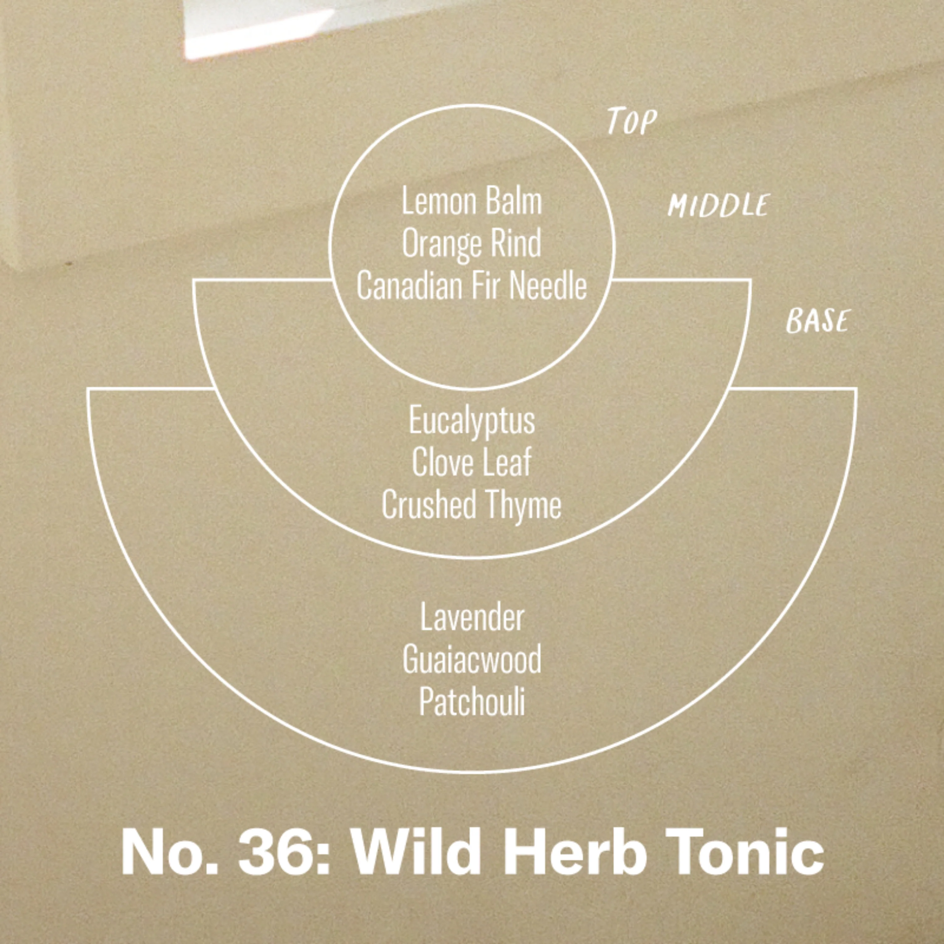 Car Freshener - Image 6
