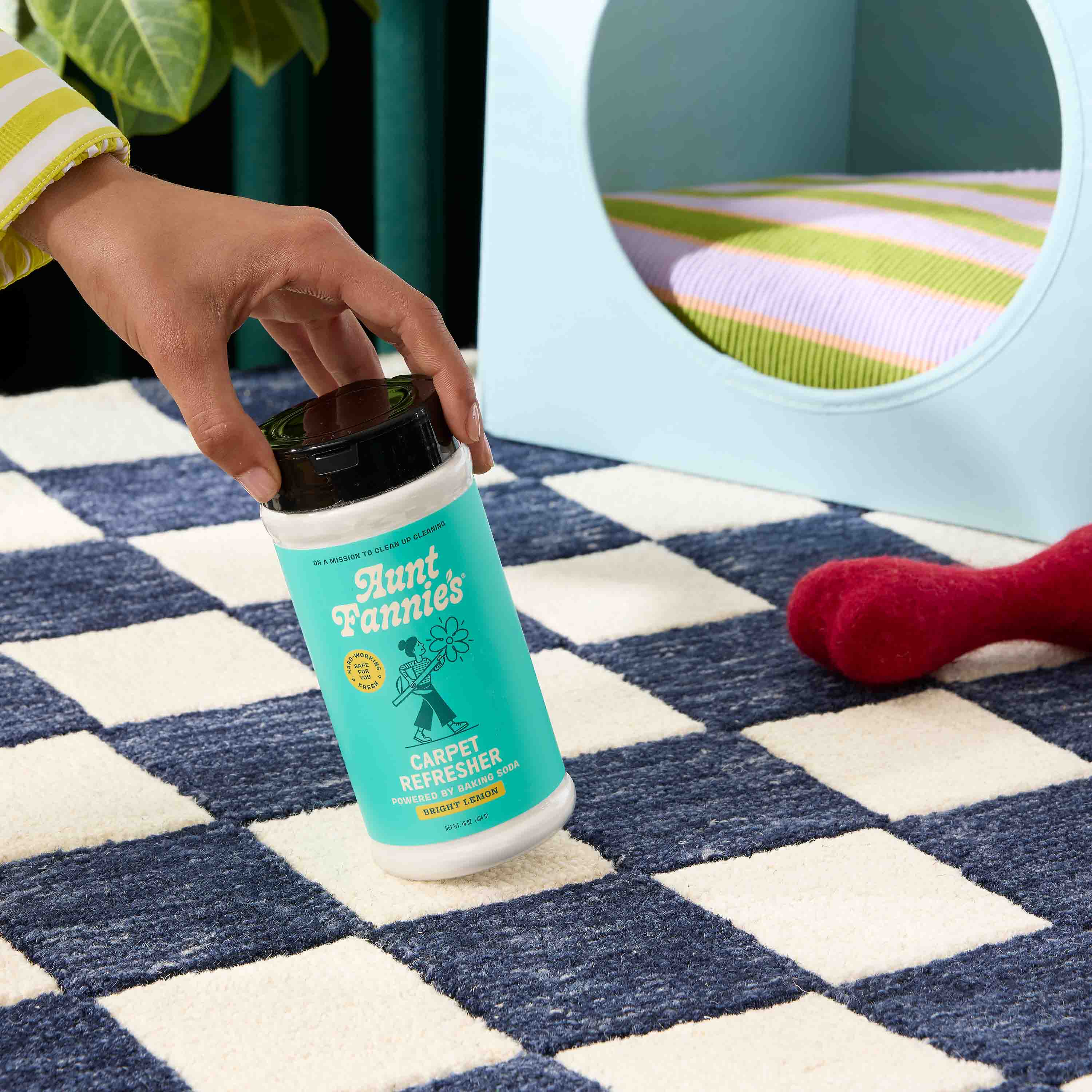 Carpet Refresher - Image 8