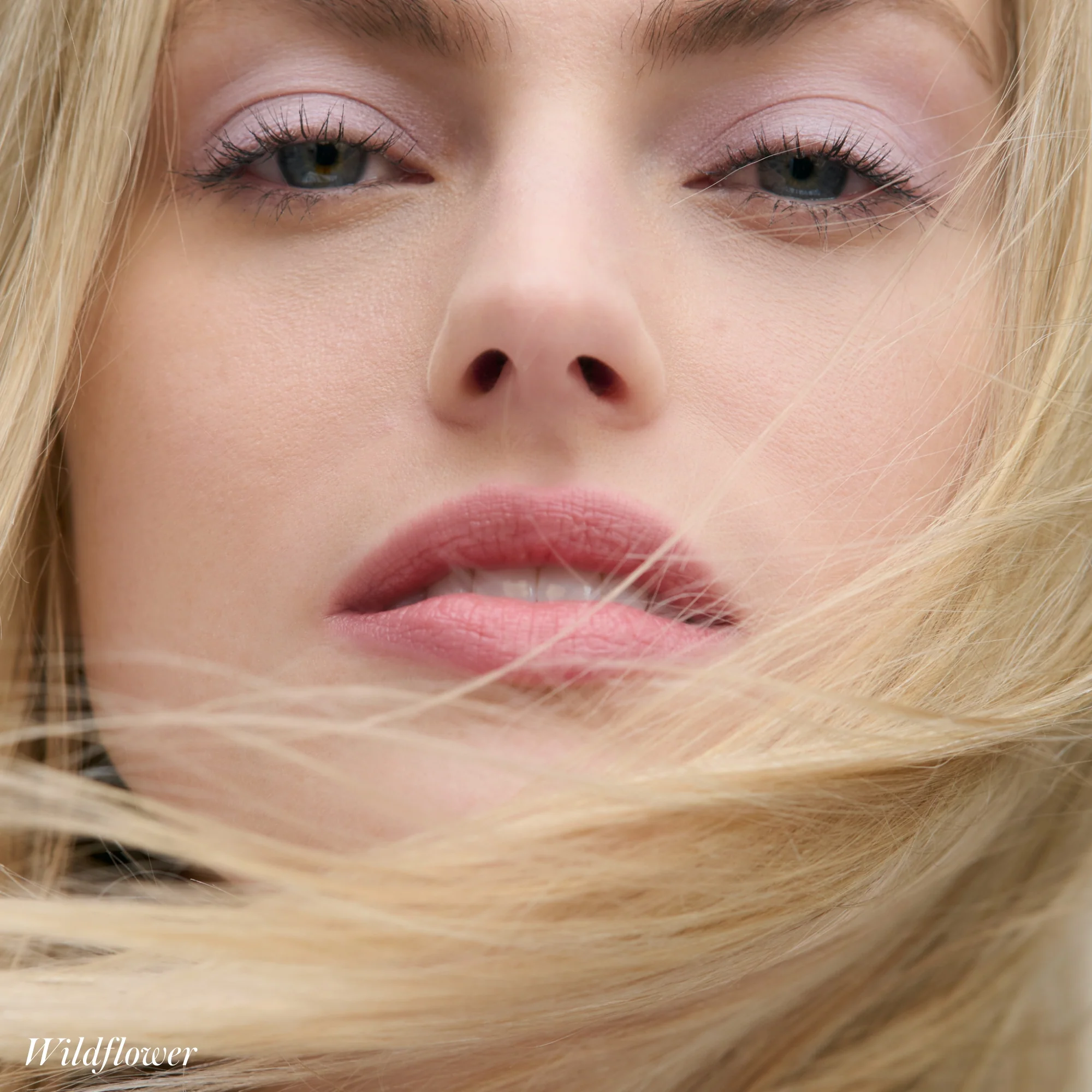 Cashmere Matte Eyelights - Image 21