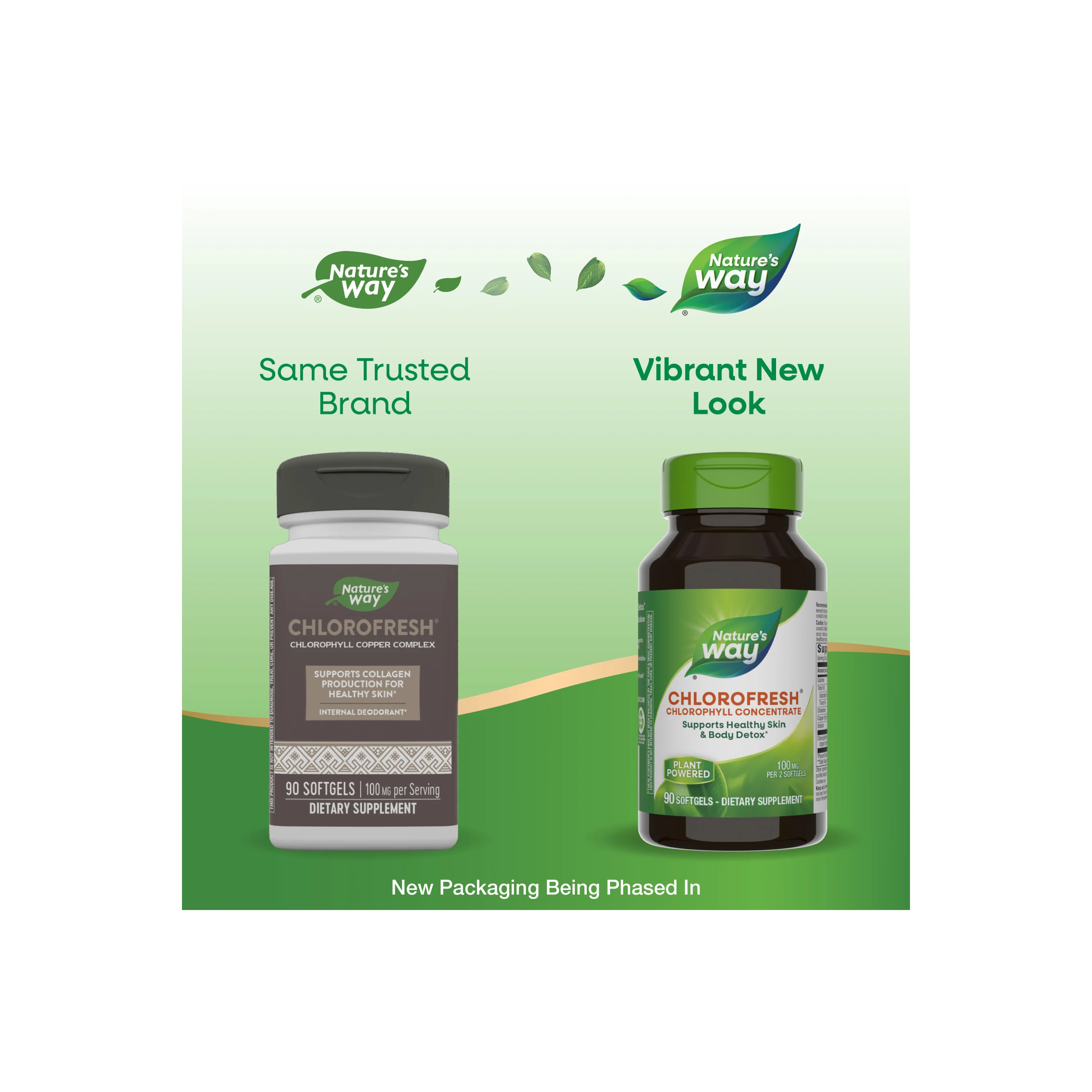 Chlorofresh® Chlorophyll Concentrate - Image 13