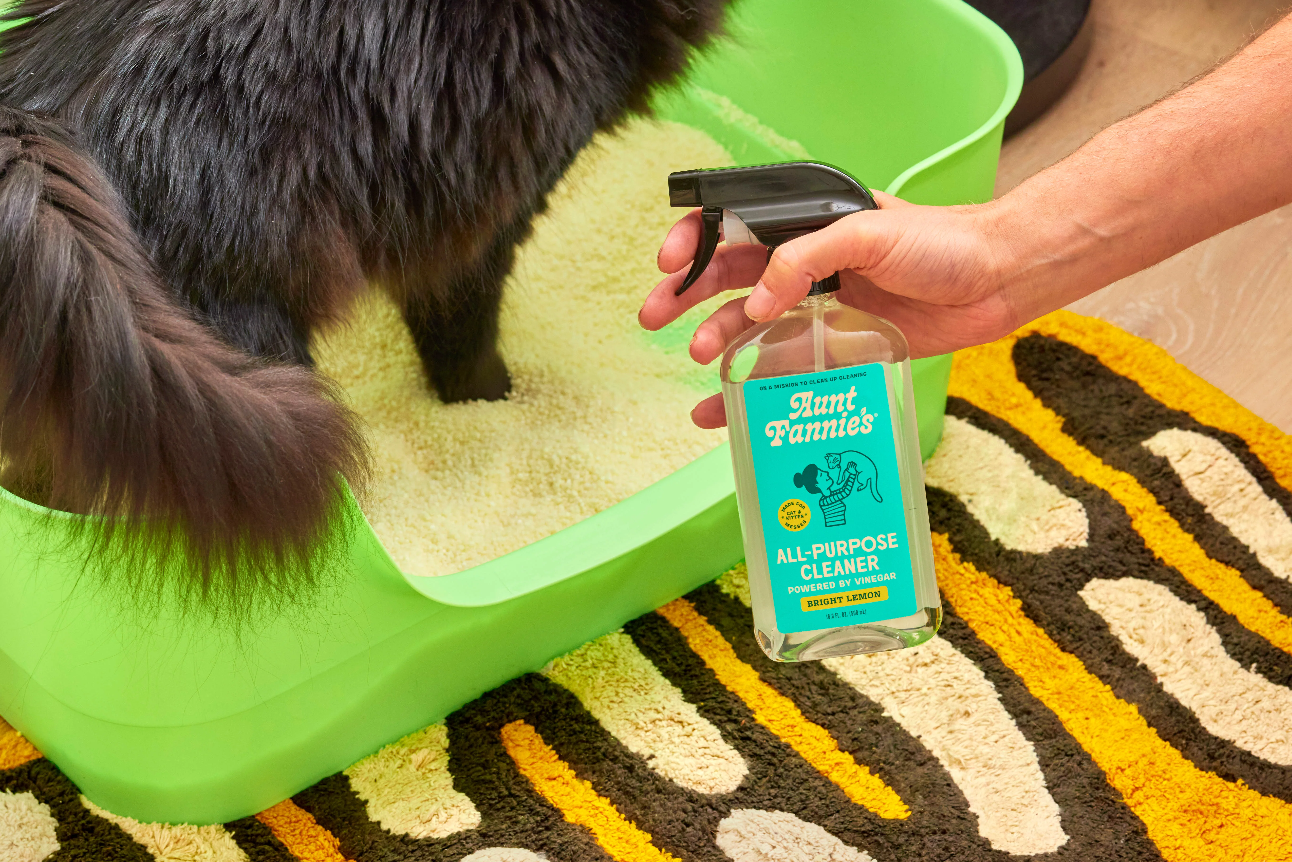 Cleaning Vinegar Spray for Cat Homes - Image 4