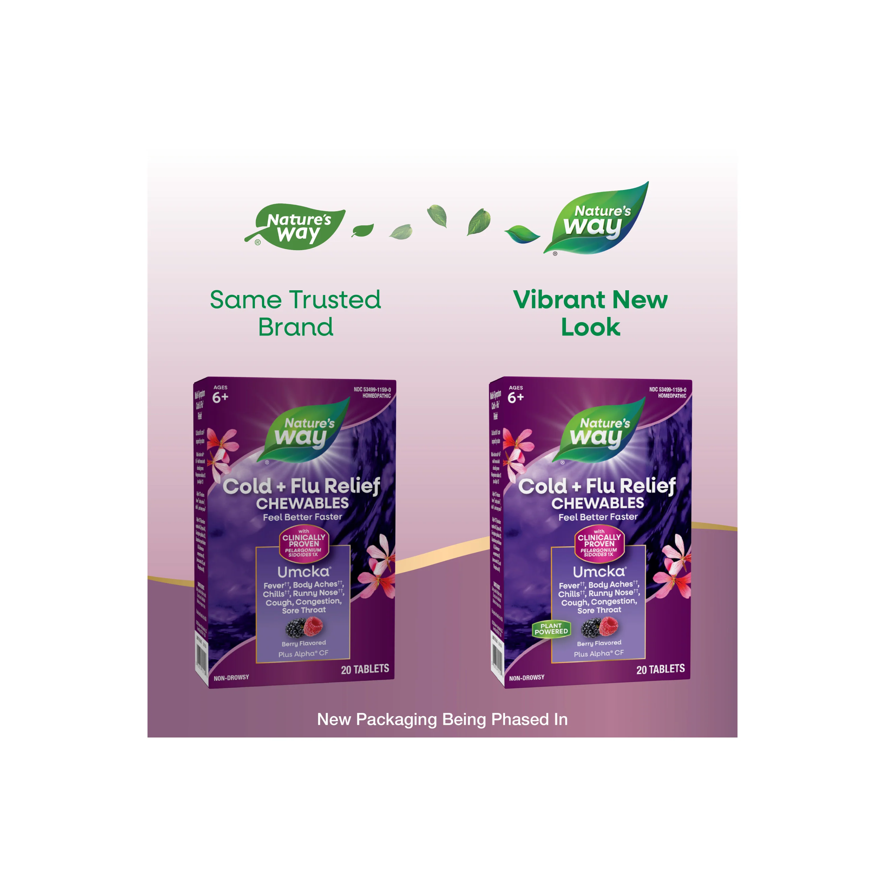 Cold+Flu Relief Chewables - Image 13