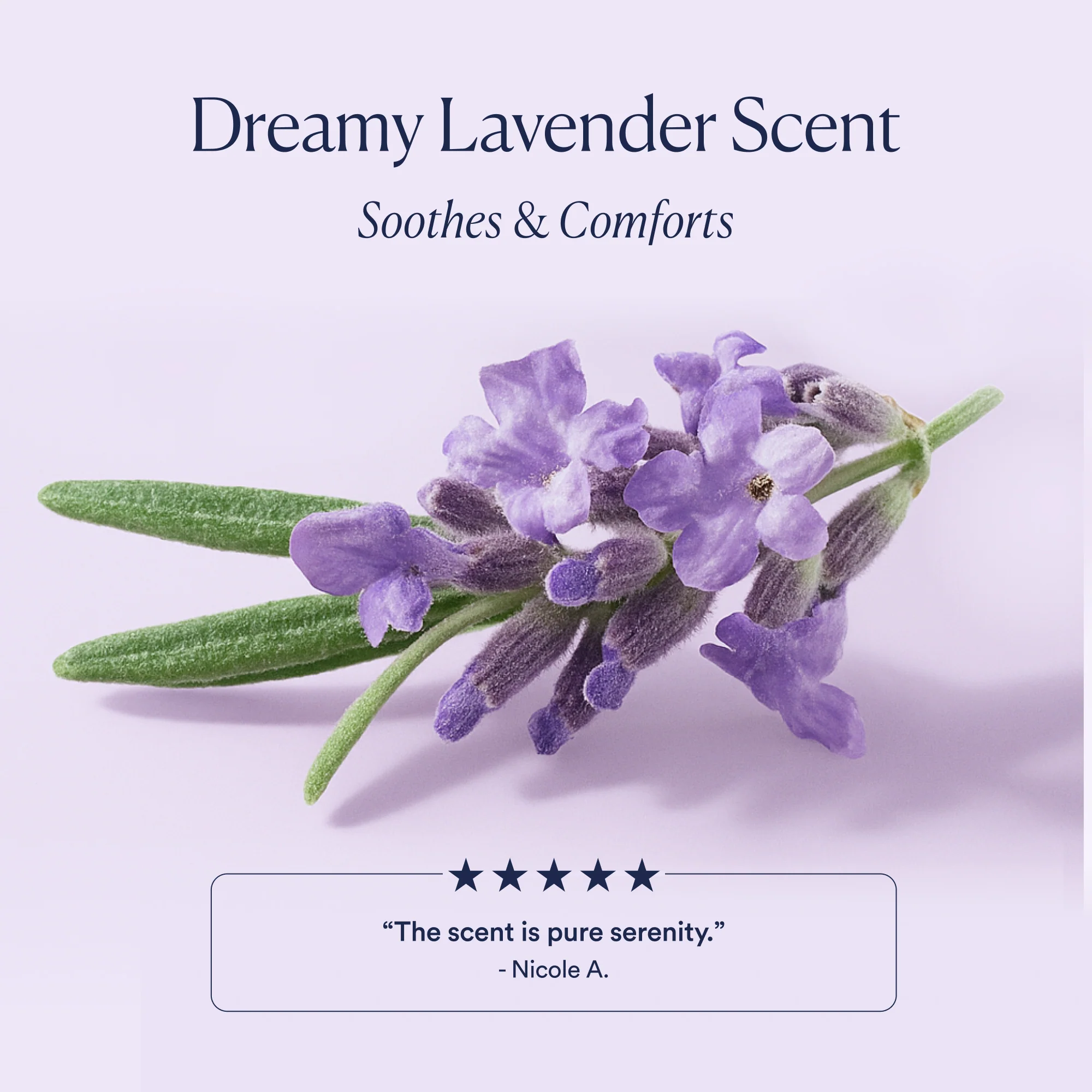 Dream Night Cream with Bio-Retinol - Image 6