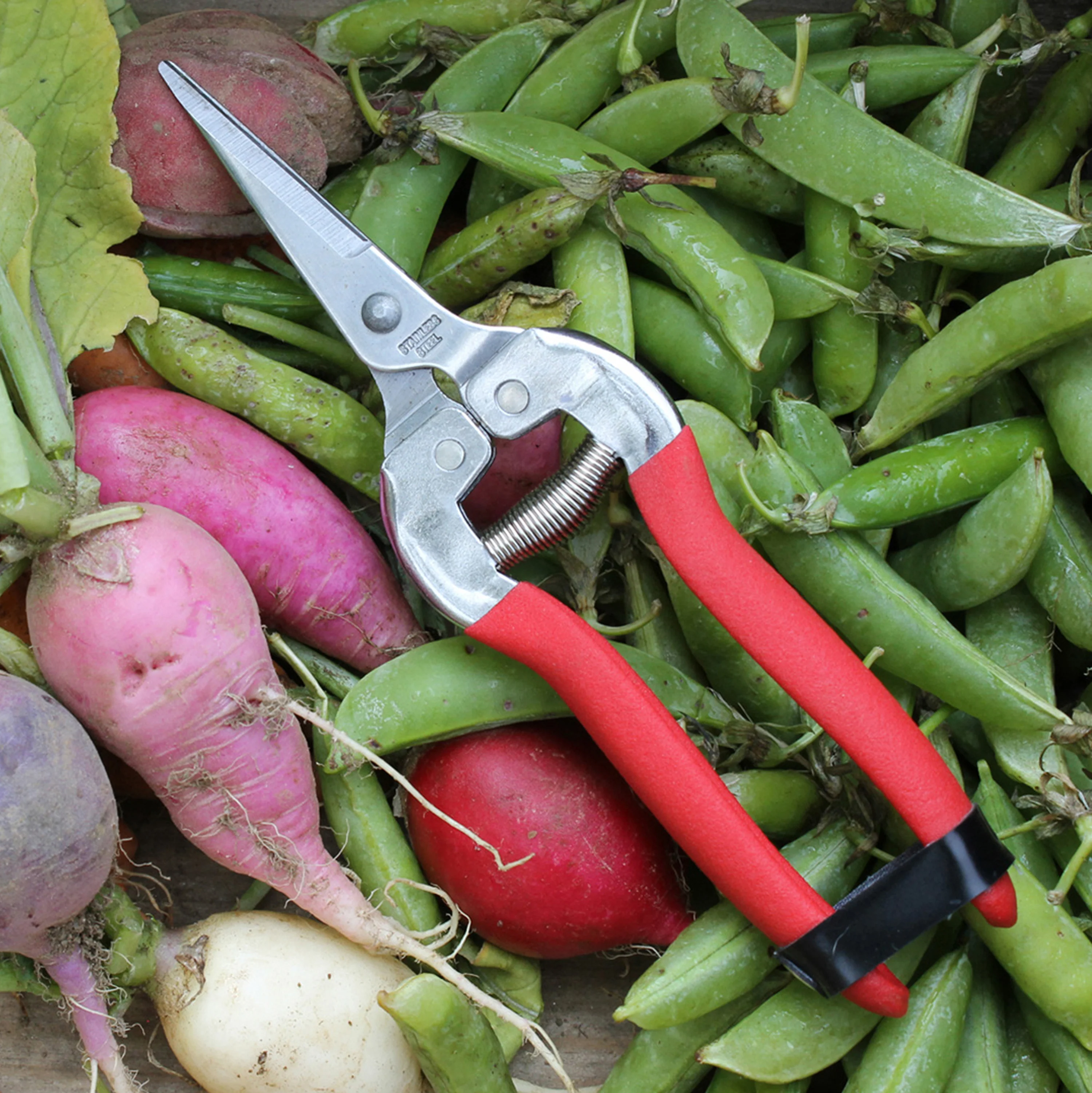Compact Pruning Shears - Image 4