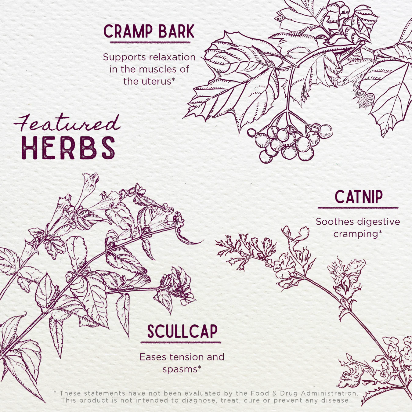Cramp Release - Herbal Supplement - Image 4