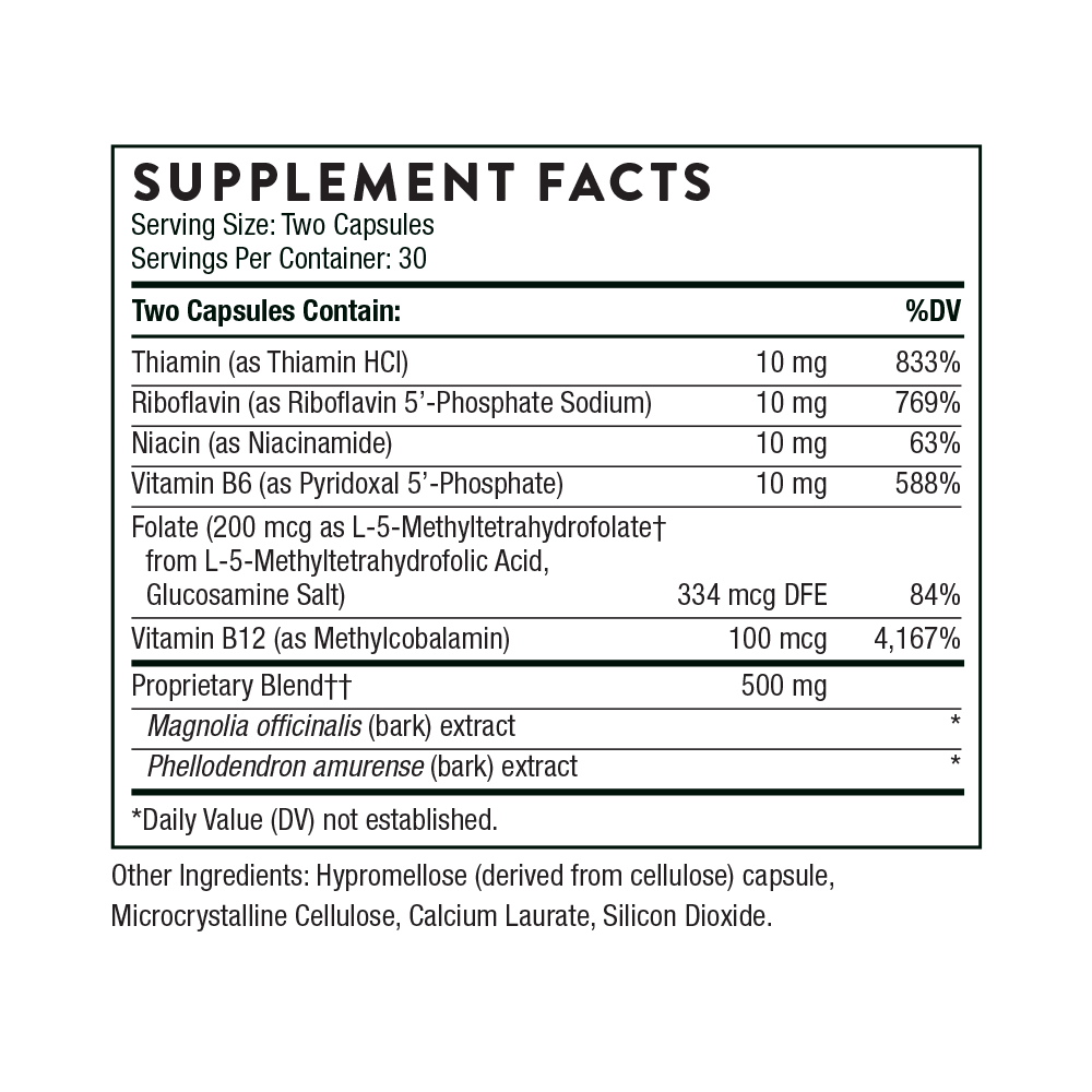 Craving and Stress Support - Image 9