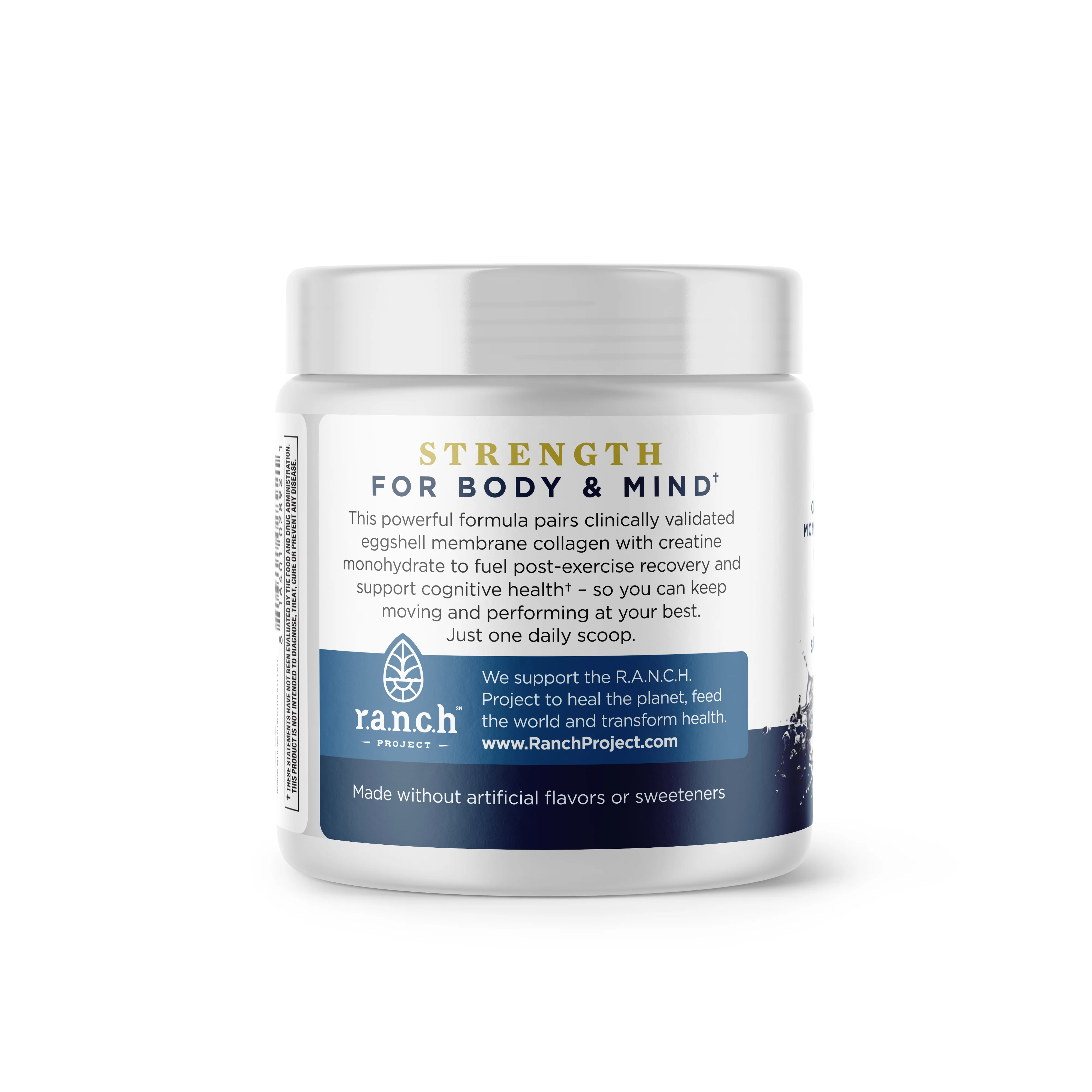 Creatine + Collagen + Electrolytes Powder - Image 5