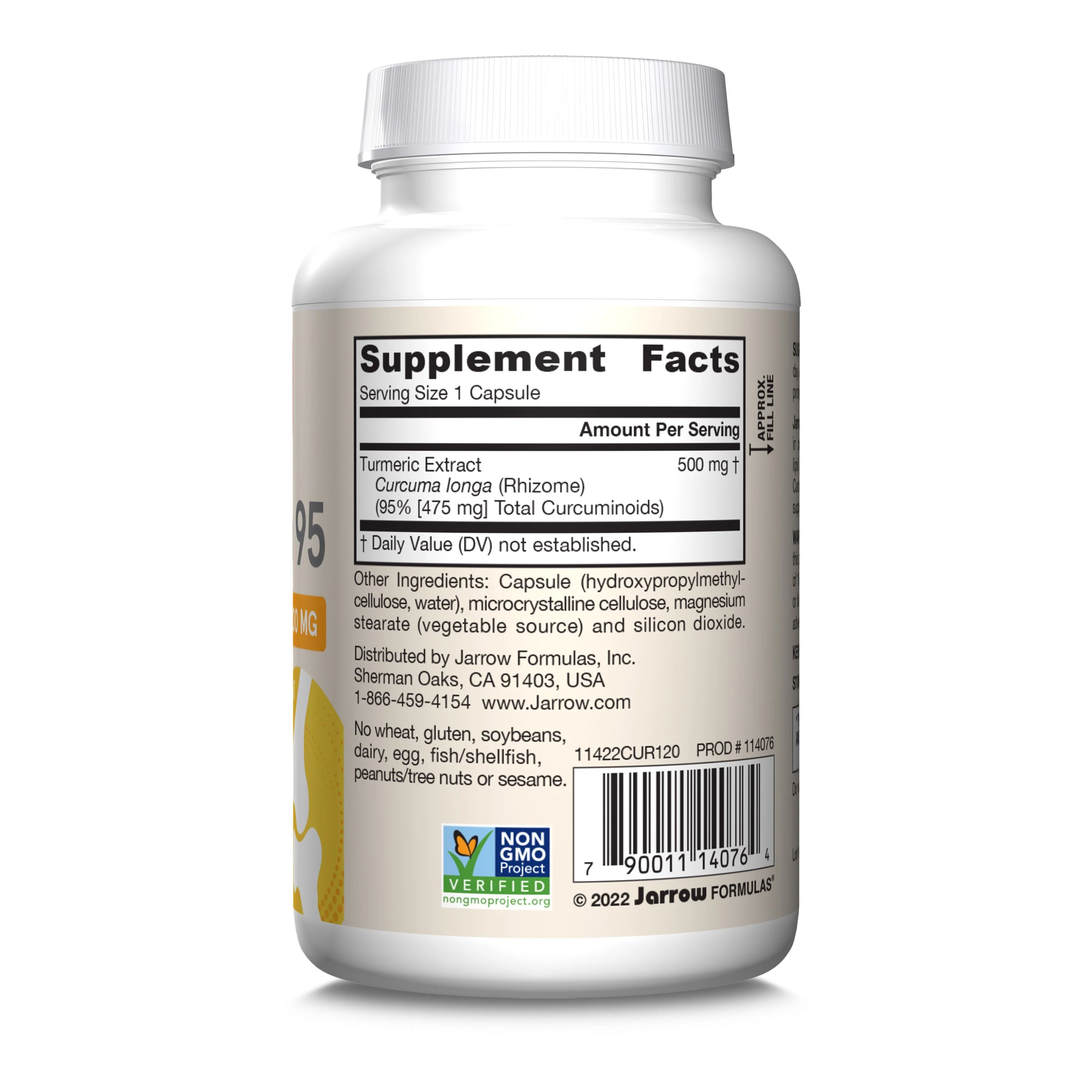 Curcumin 95 - Image 2