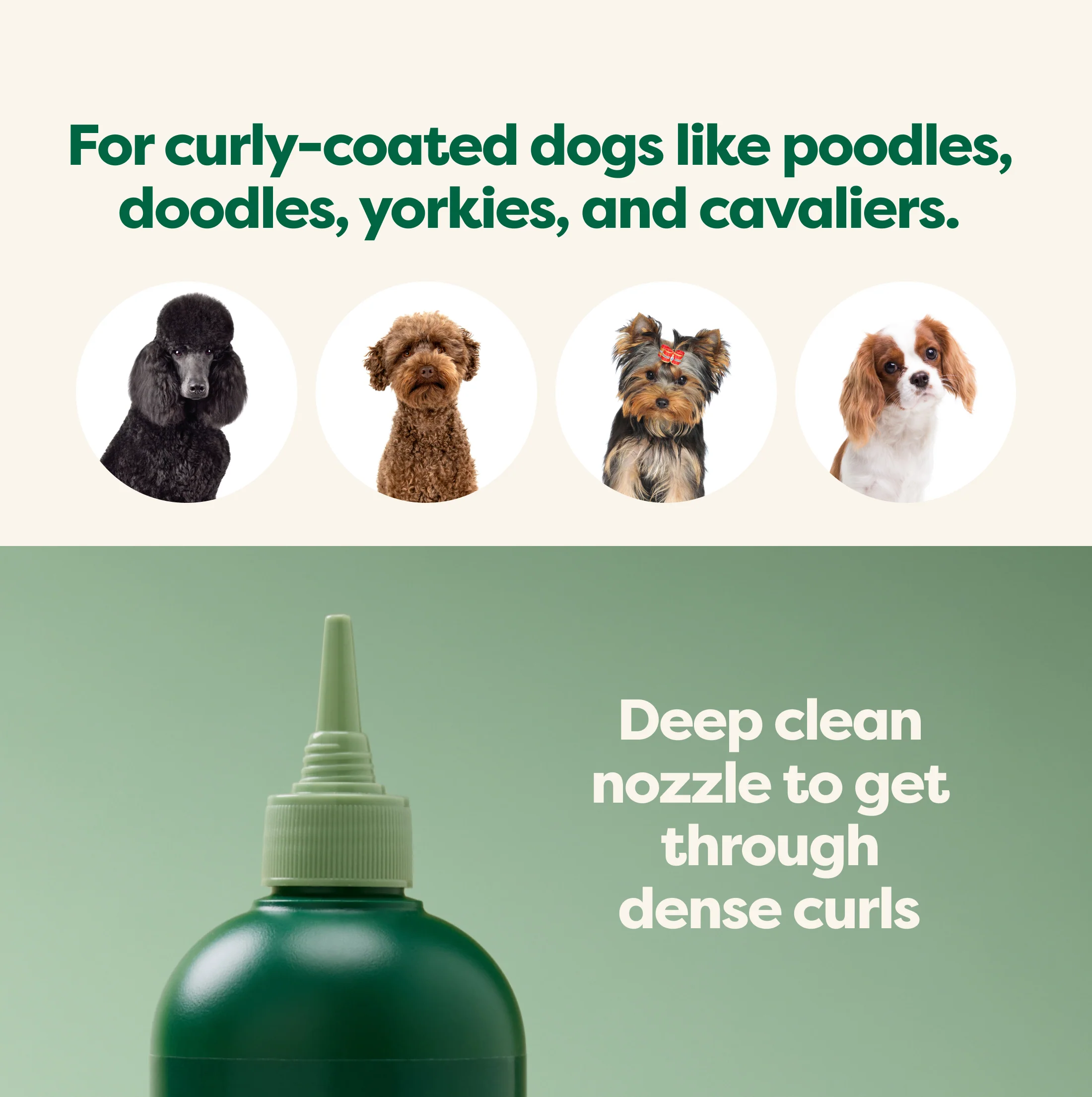 3-in-1 Curly Coat Dog Shampoo - Image 5