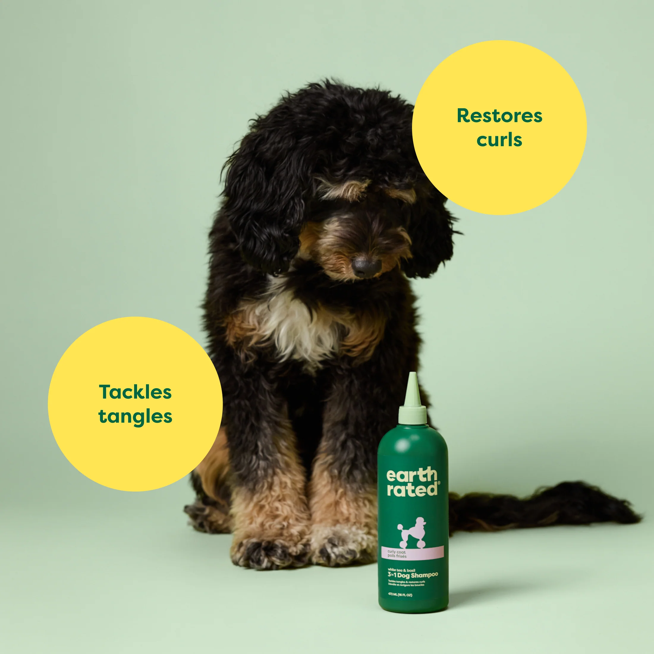 3-in-1 Curly Coat Dog Shampoo - Image 9