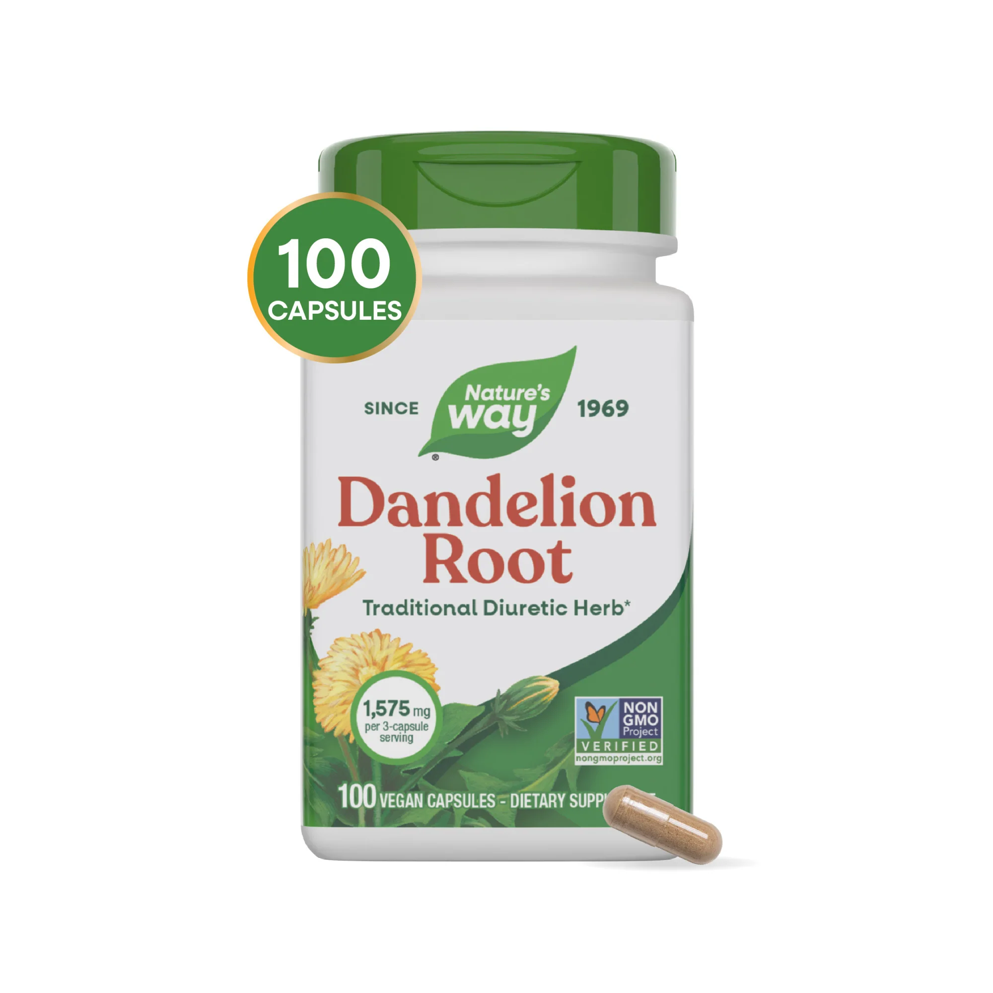 Dandelion Root - Image 2