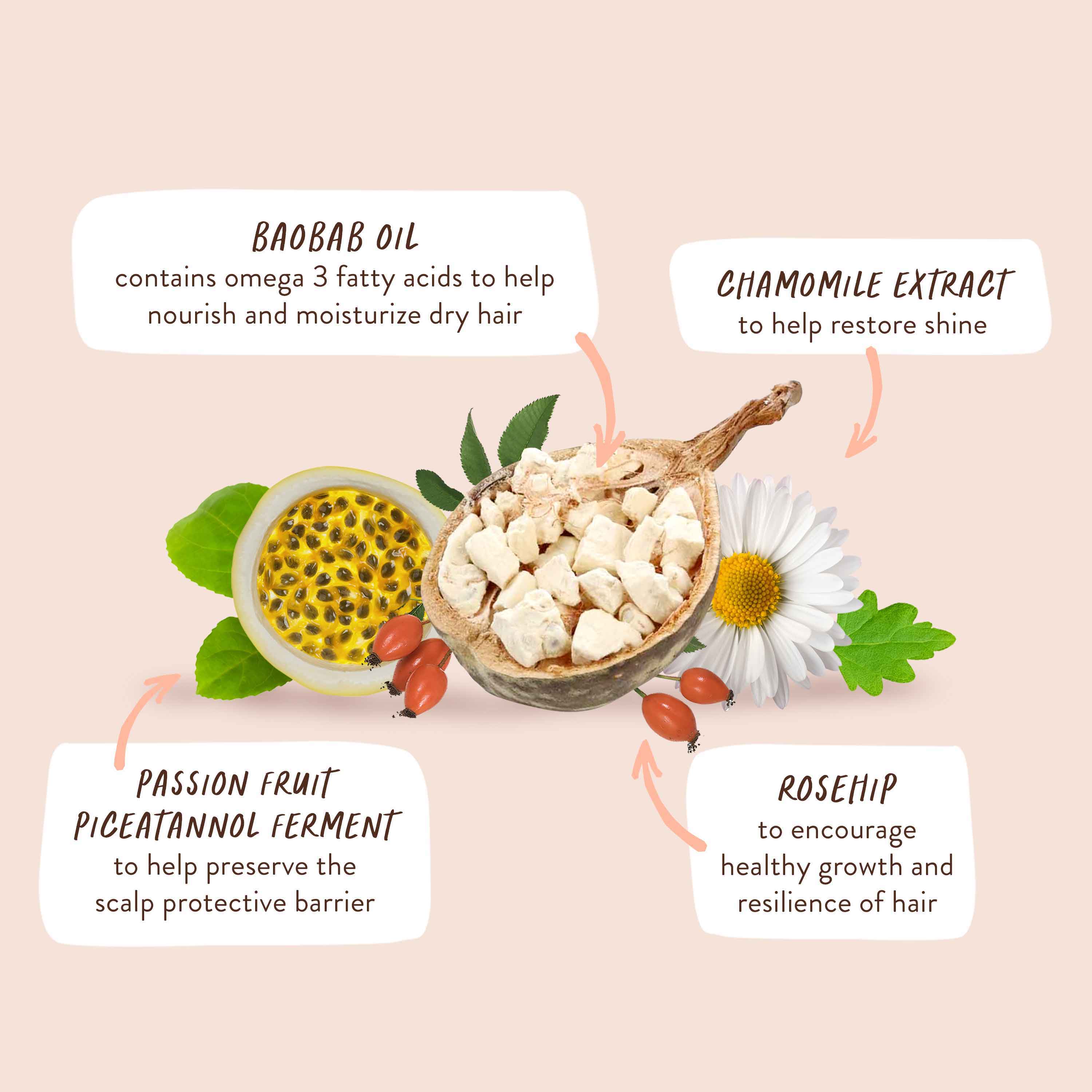 Defining Baobab & Rosehip Shampoo - Image 6